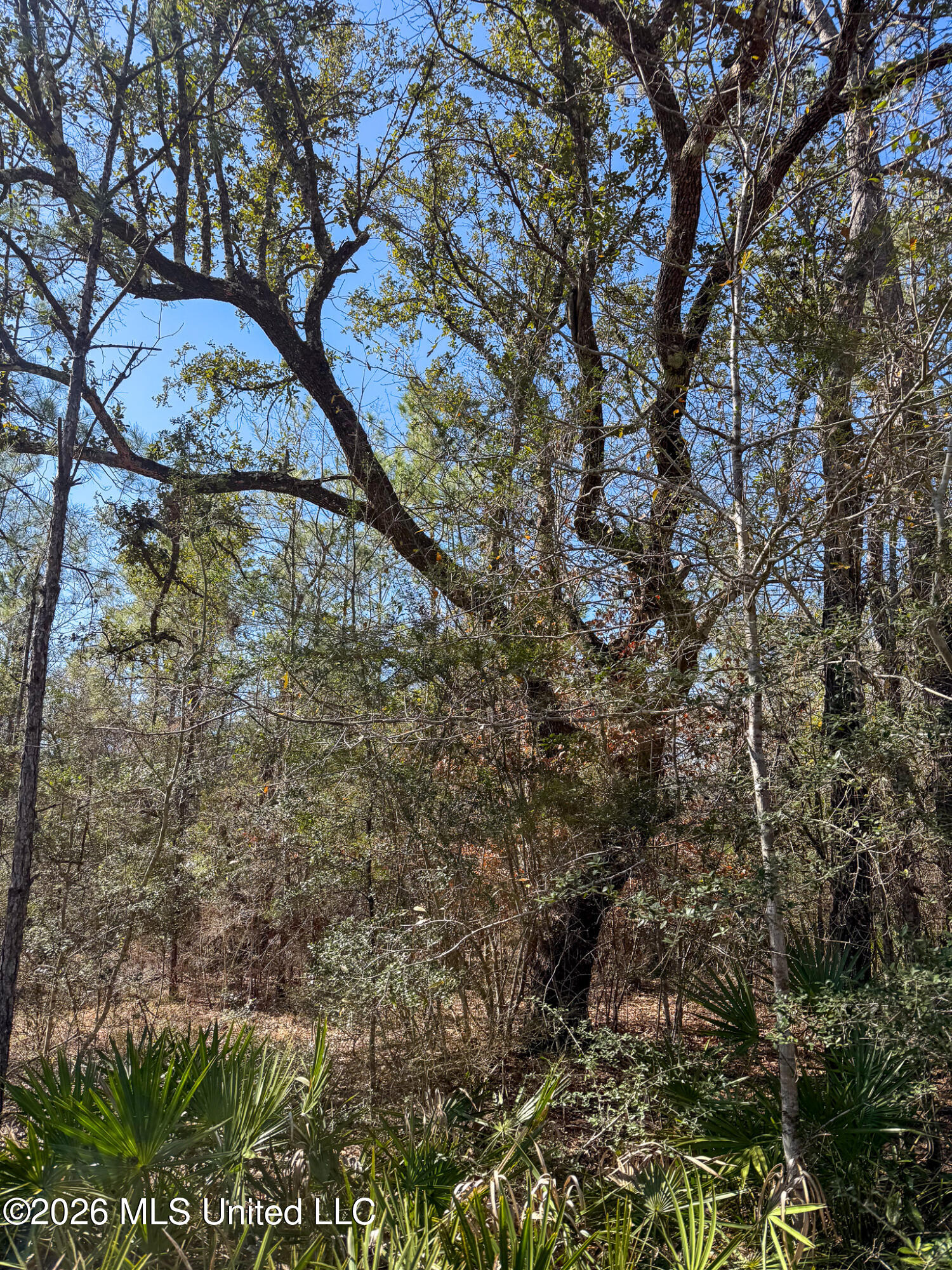 Cable Bridge Road Property Photo 24