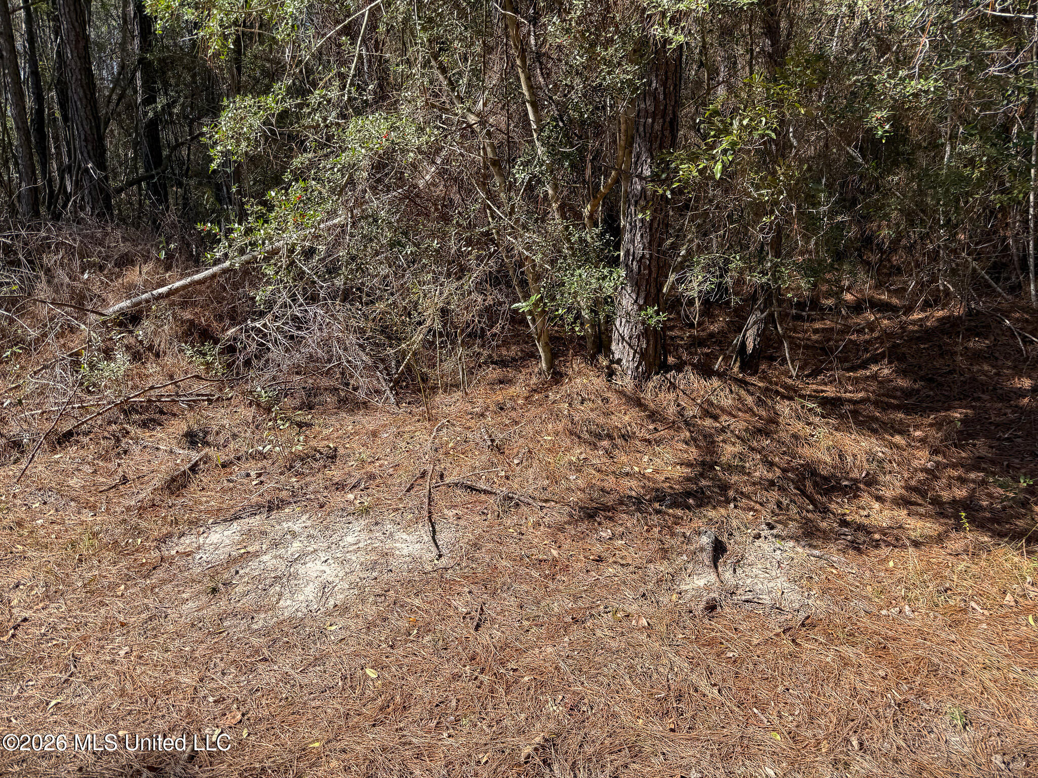 Cable Bridge Road Property Photo 28