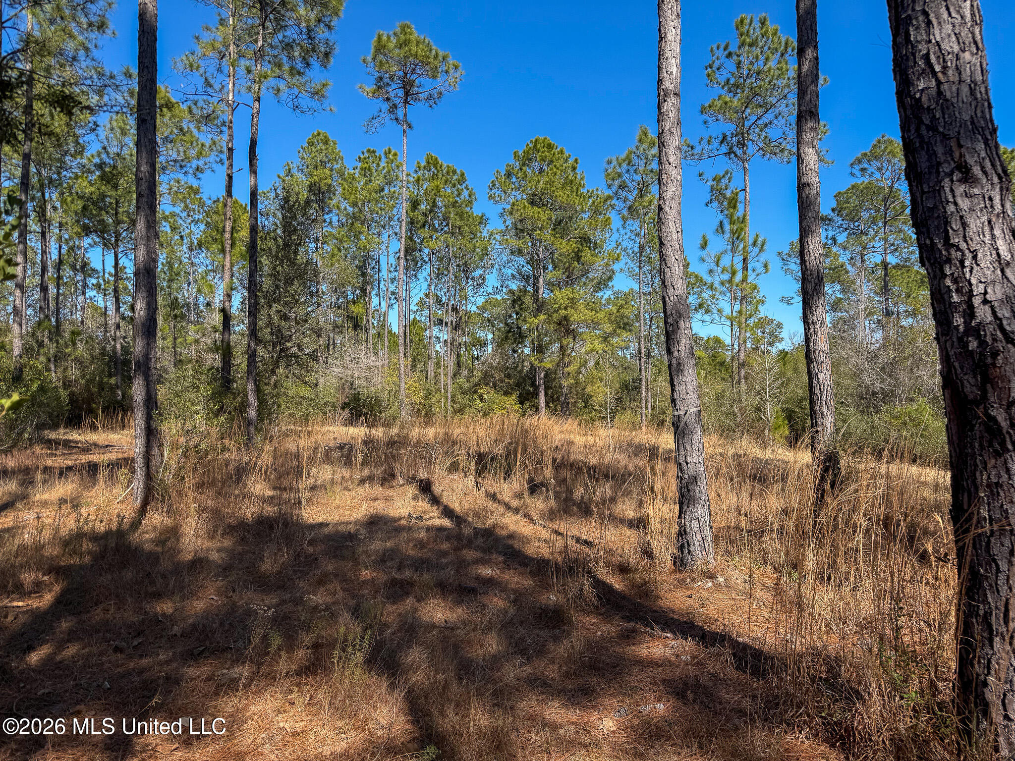 Cable Bridge Road Property Photo 33