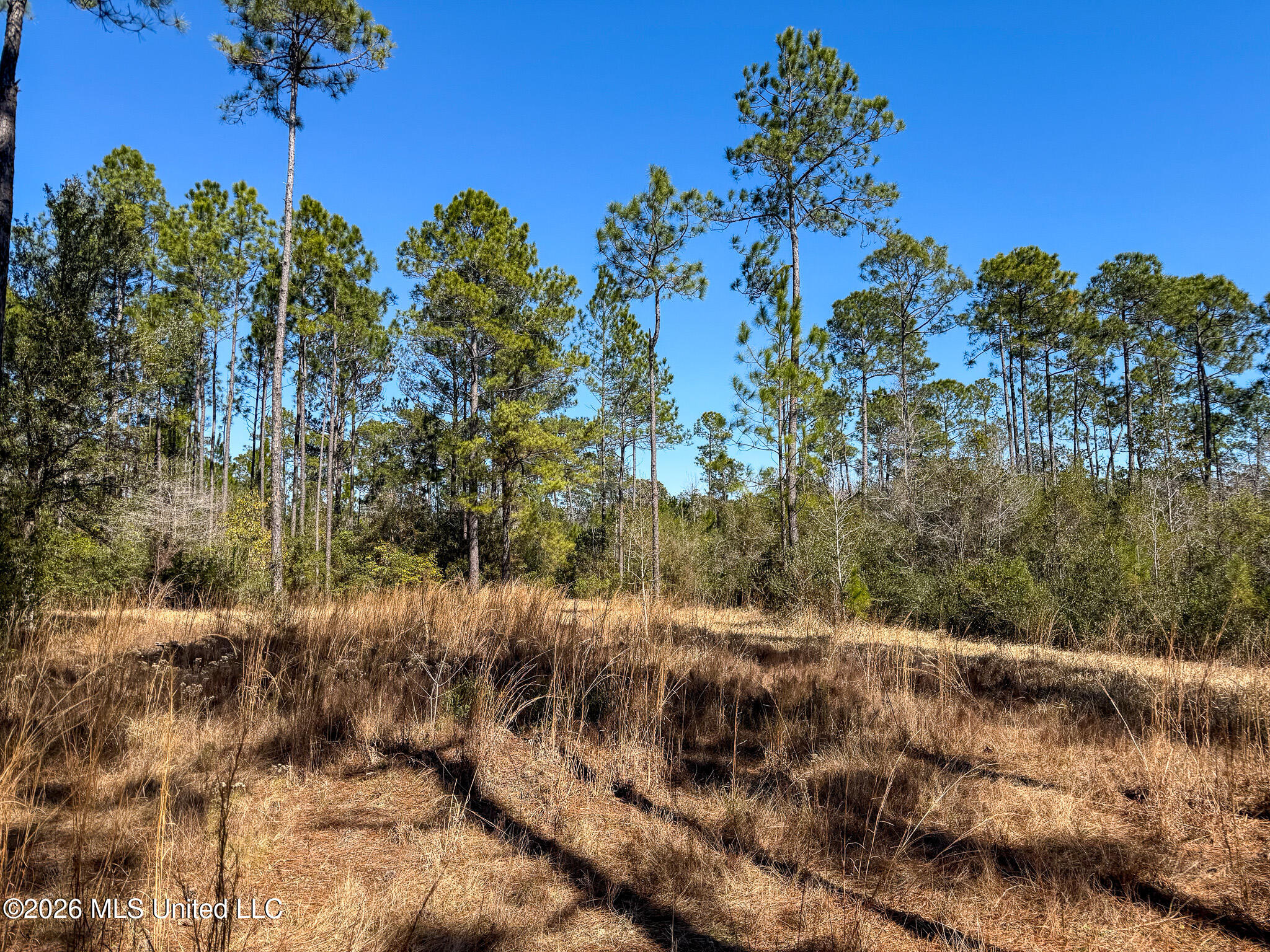 Cable Bridge Road Property Photo 34
