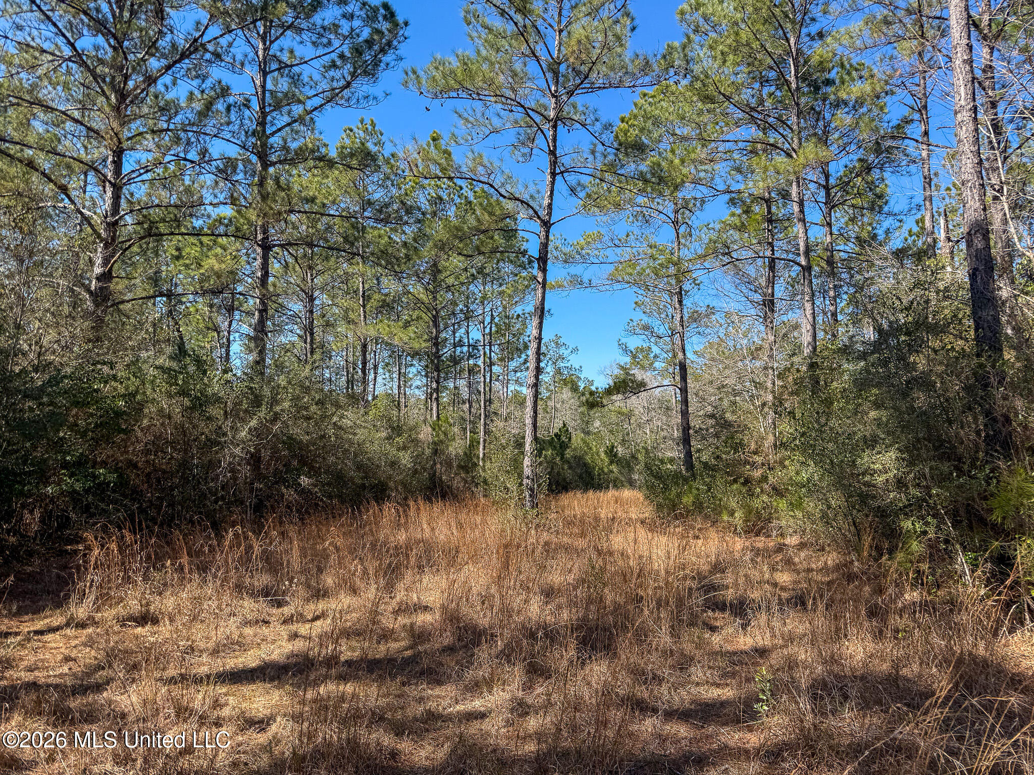 Cable Bridge Road Property Photo 35