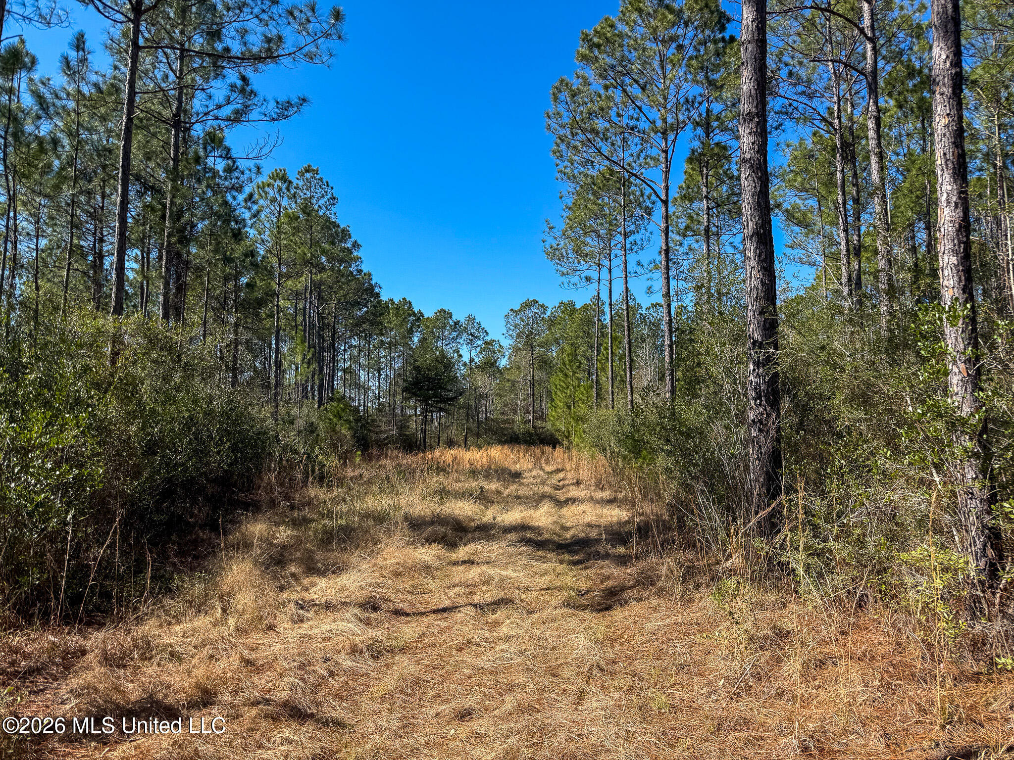 Cable Bridge Road Property Photo 36