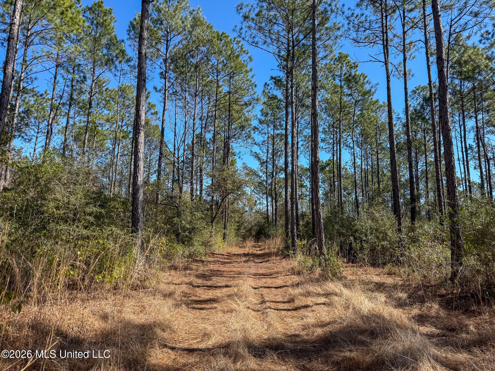 Cable Bridge Road Property Photo 37
