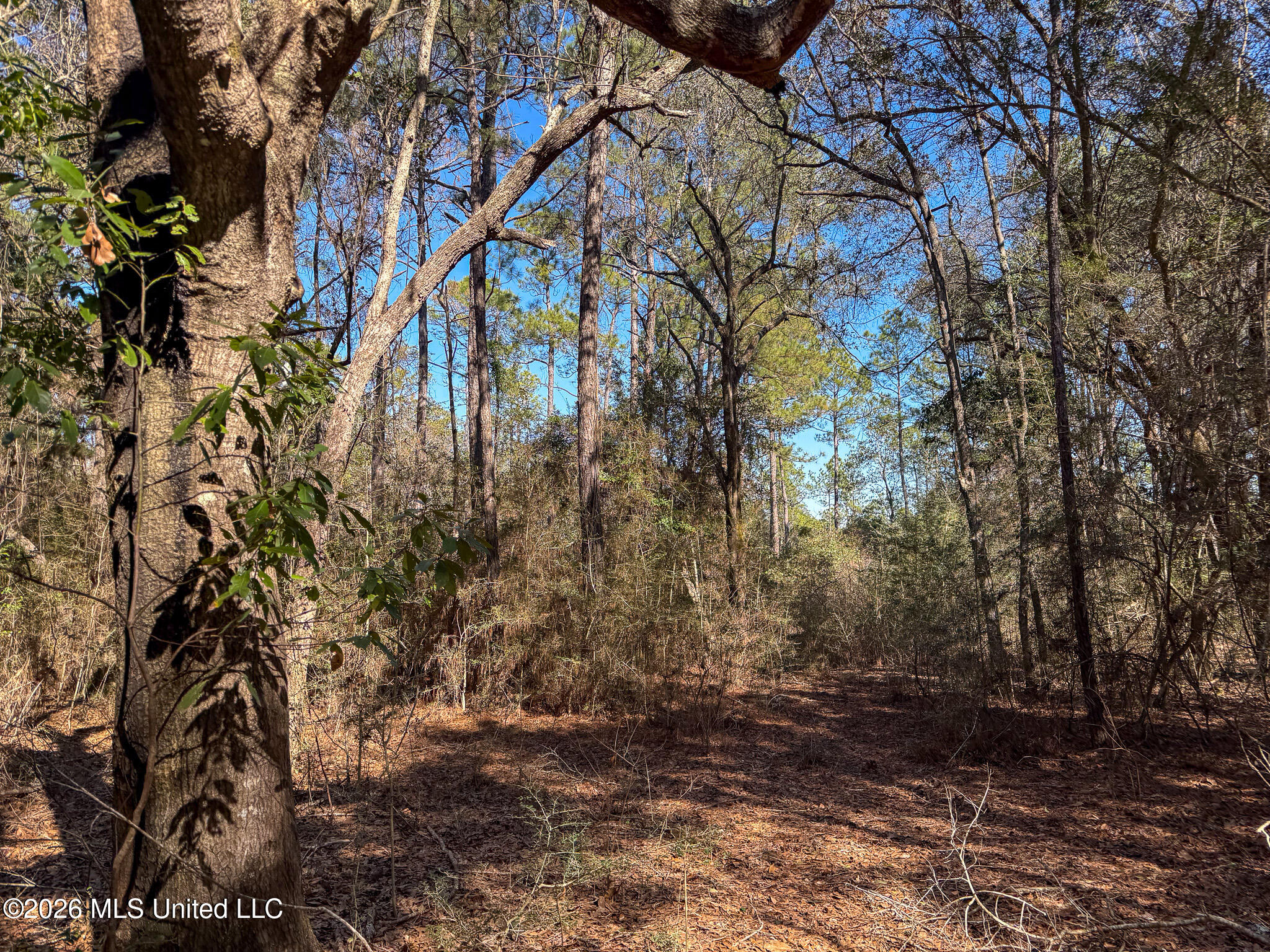 Cable Bridge Road Property Photo 38