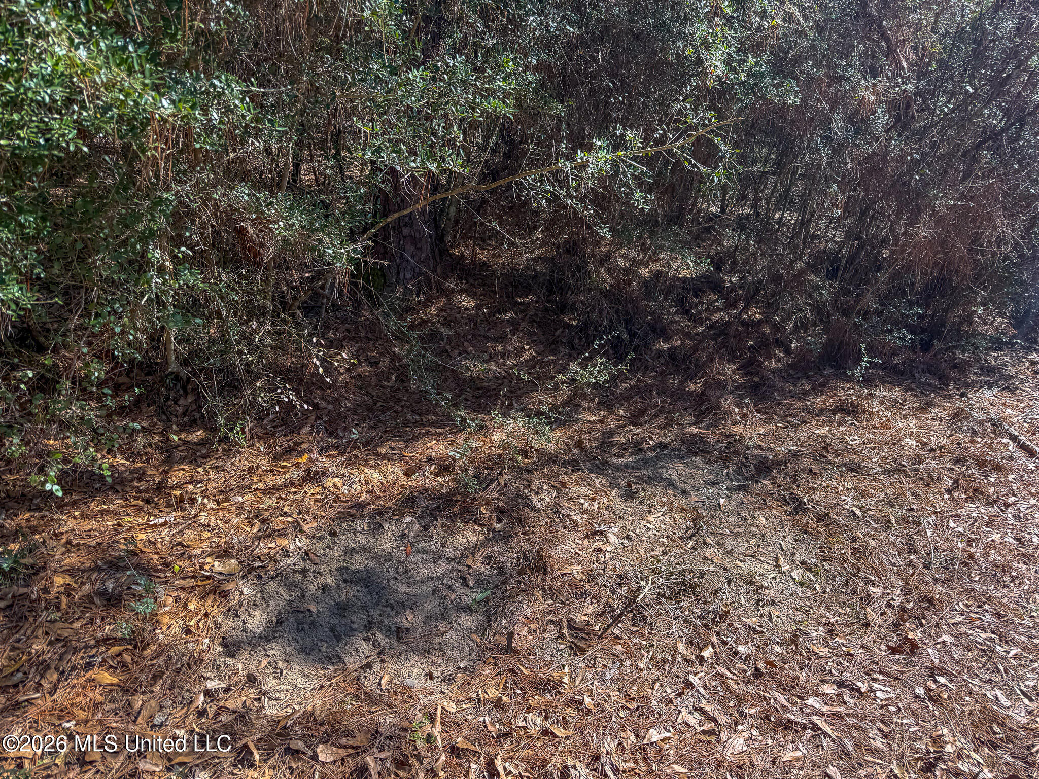Cable Bridge Road Property Photo 39