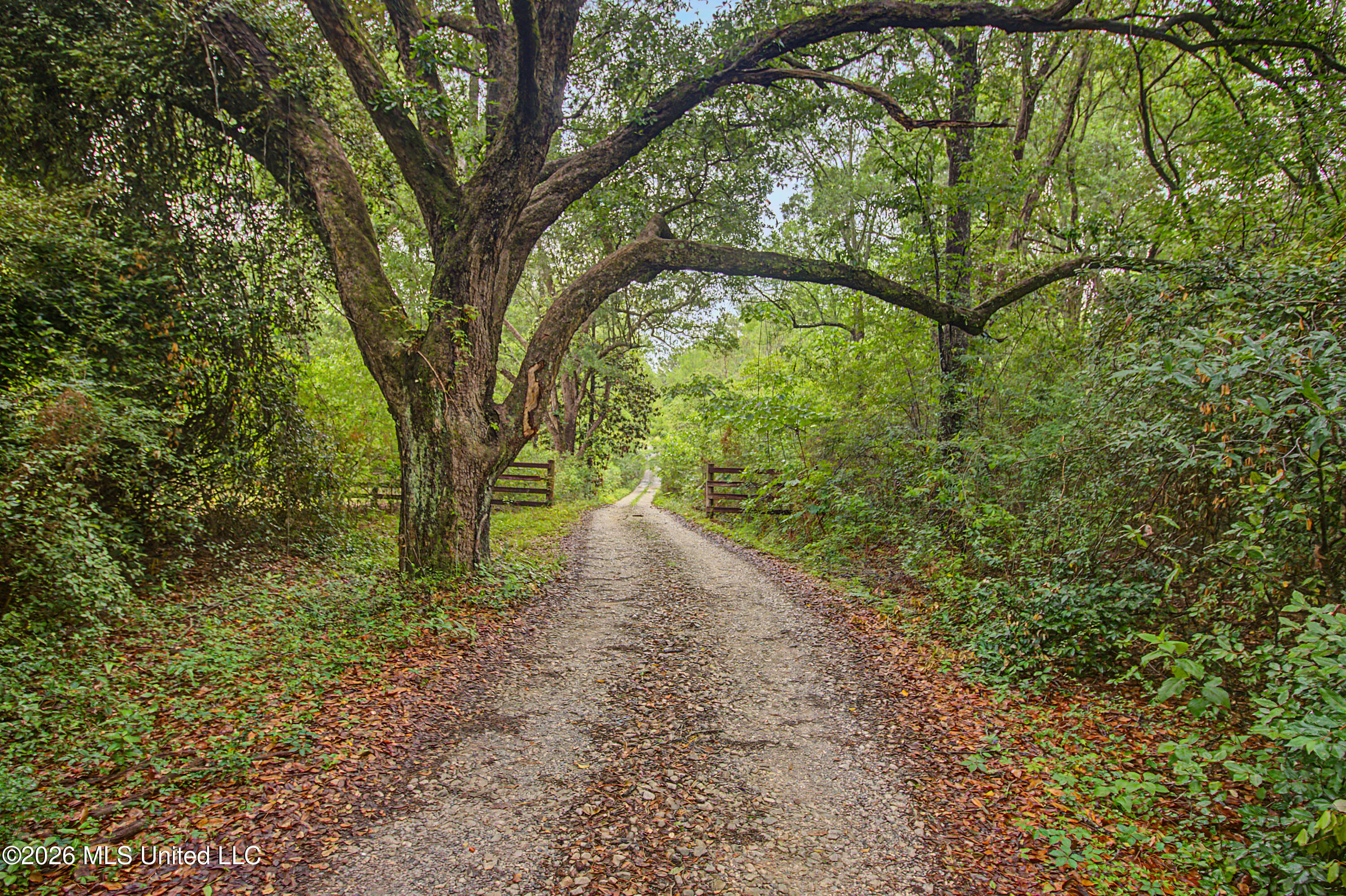 15101 Cable Bridge Road Property Photo 2