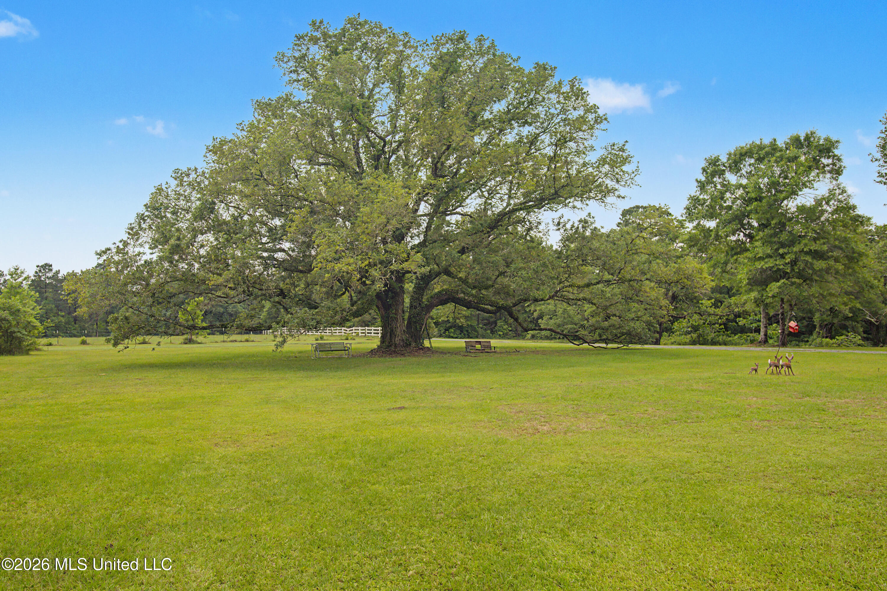 15101 Cable Bridge Road Property Photo 15
