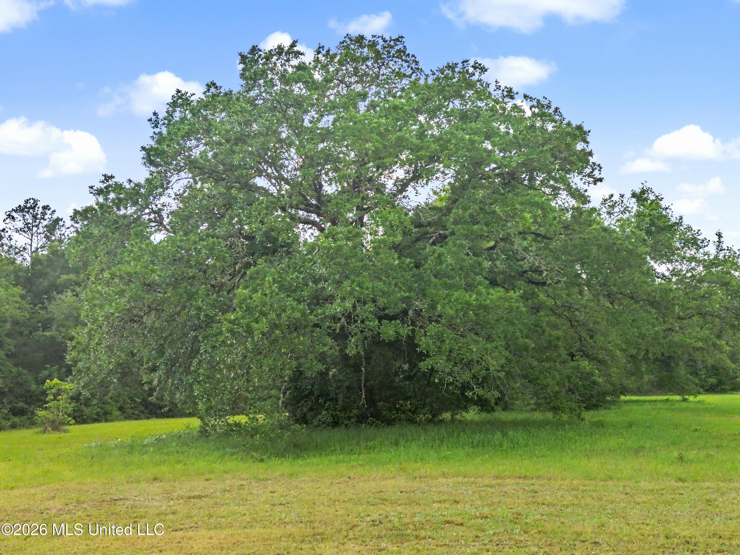 15101 Cable Bridge Road Property Photo 46