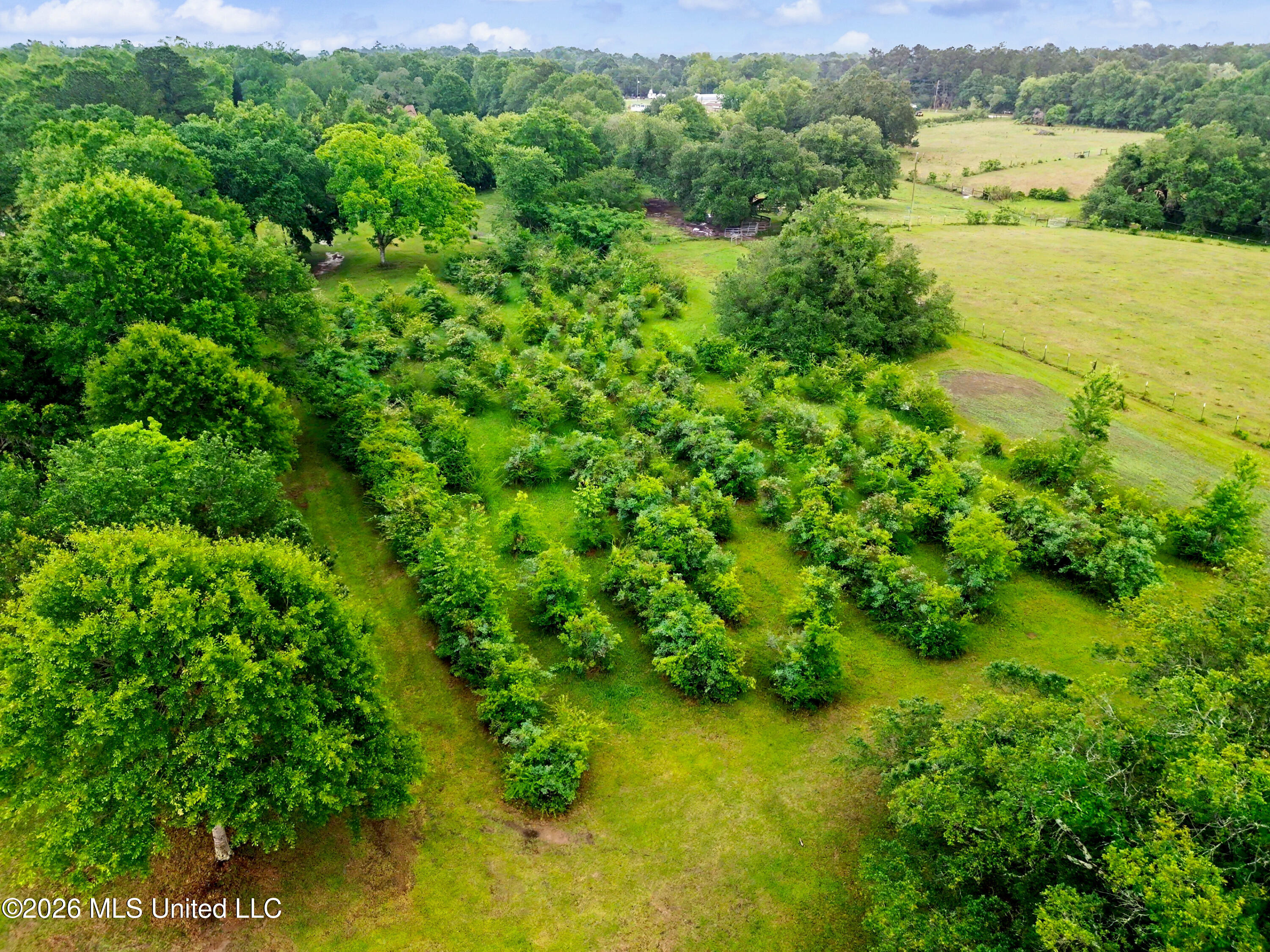 15101 Cable Bridge Road Property Photo 48