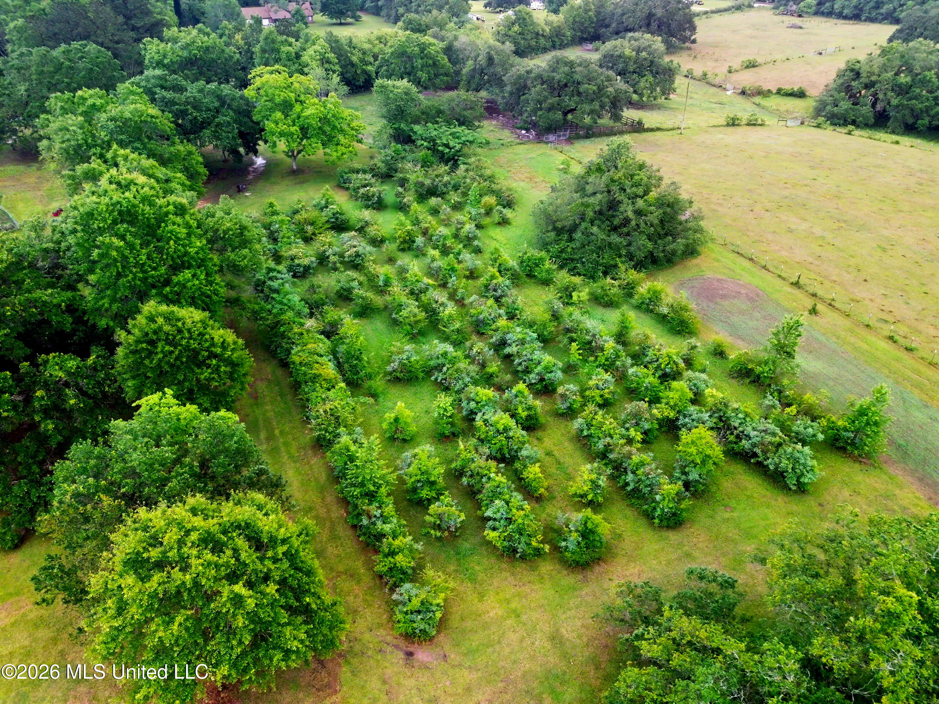 15101 Cable Bridge Road Property Photo 49