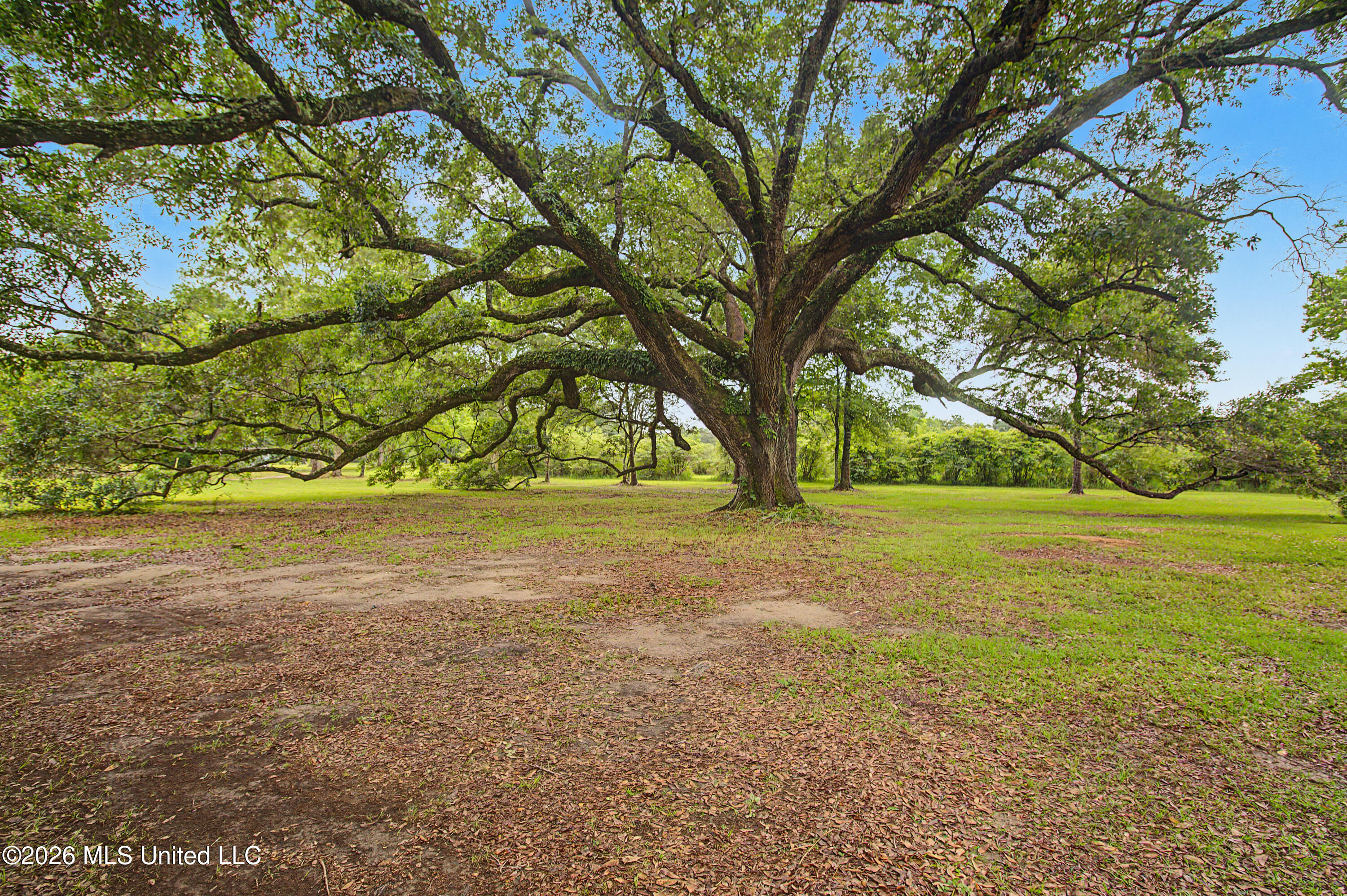 15101 Cable Bridge Road Property Photo 54