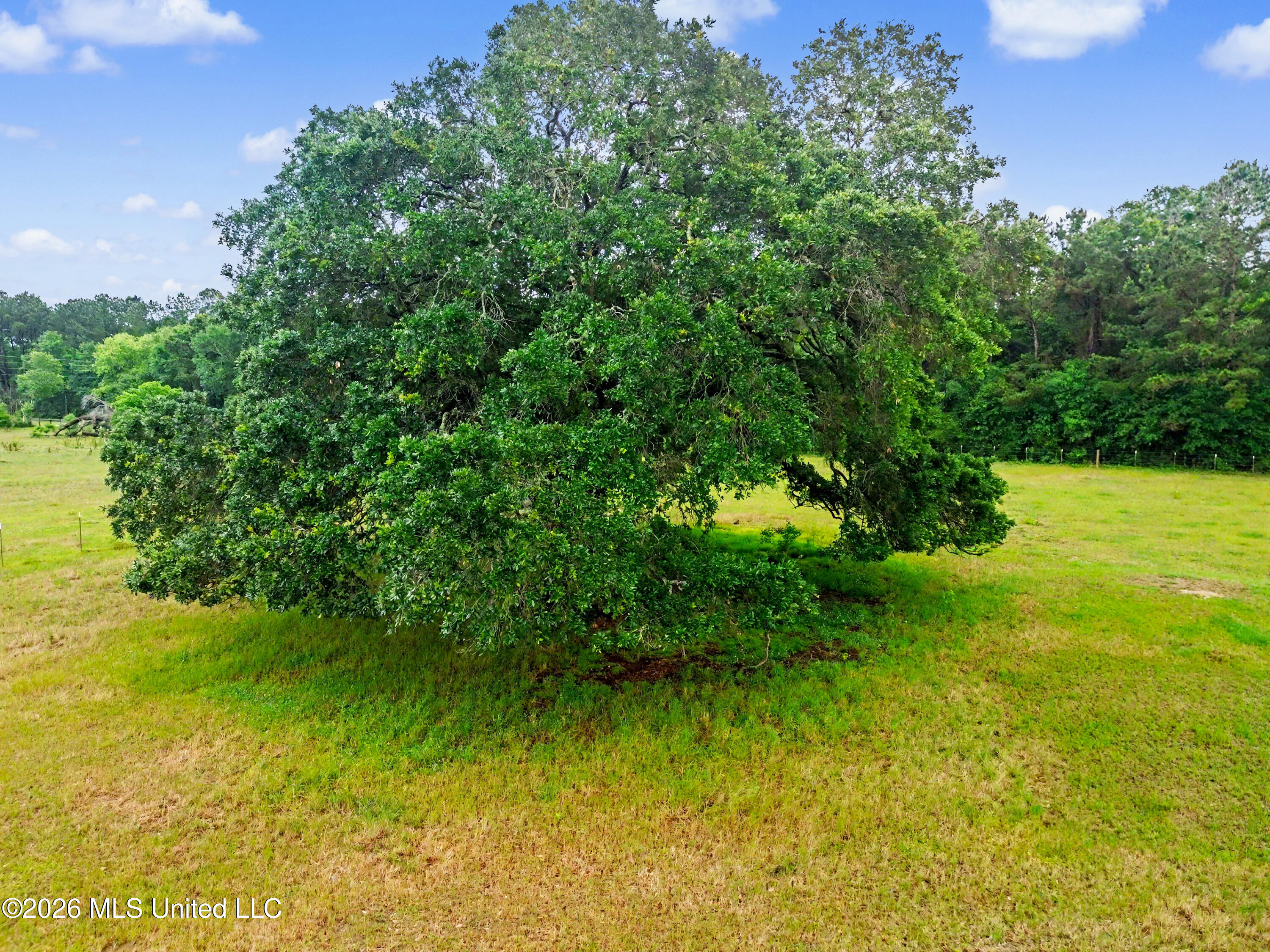 15101 Cable Bridge Road Property Photo 56