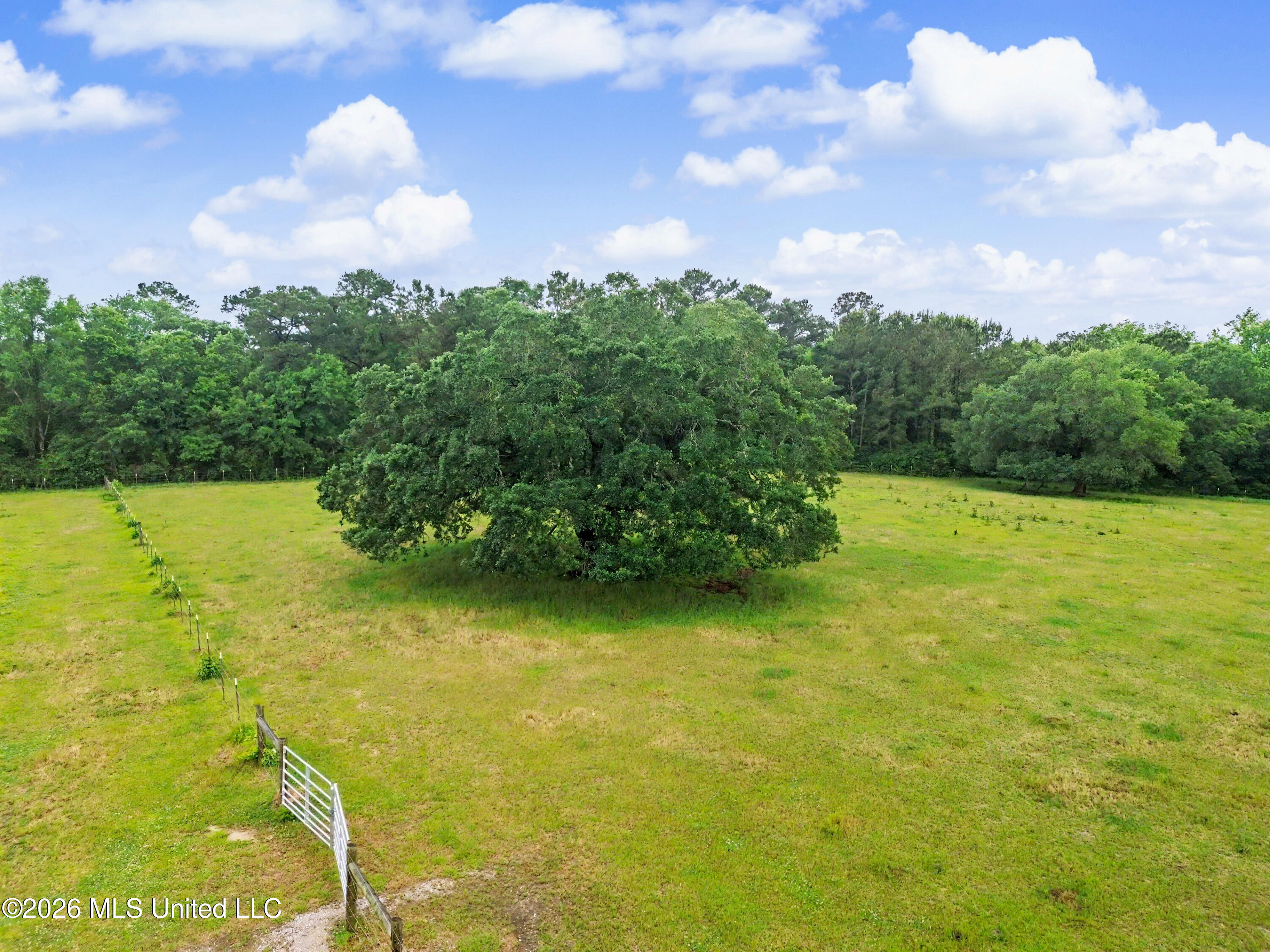 15101 Cable Bridge Road Property Photo 57