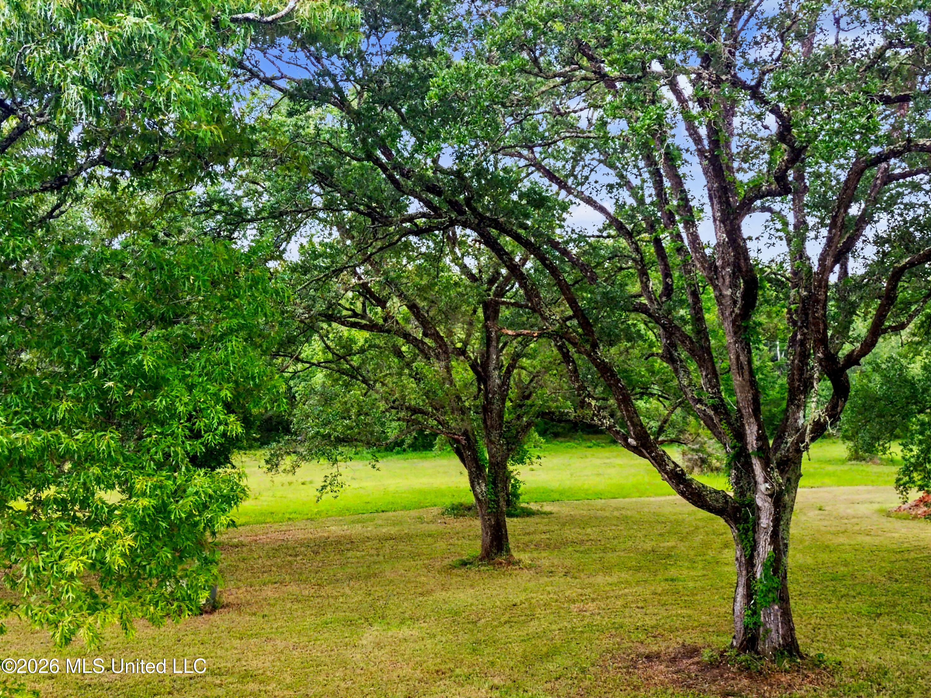 15101 Cable Bridge Road Property Photo 61