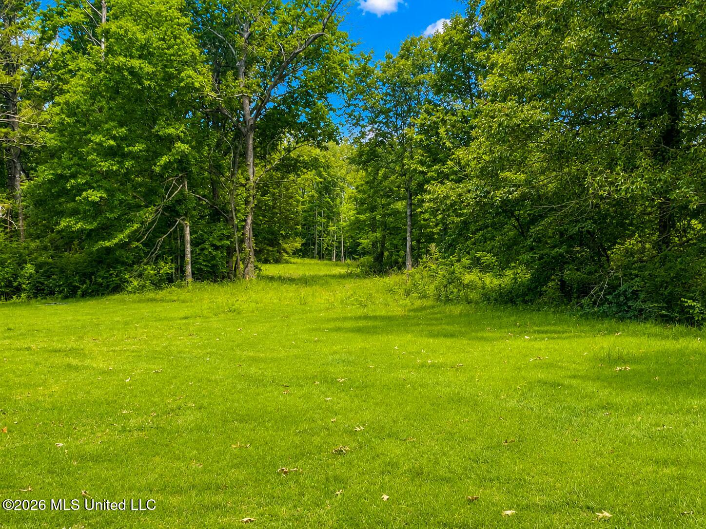 Niki Lane Property Photo 3