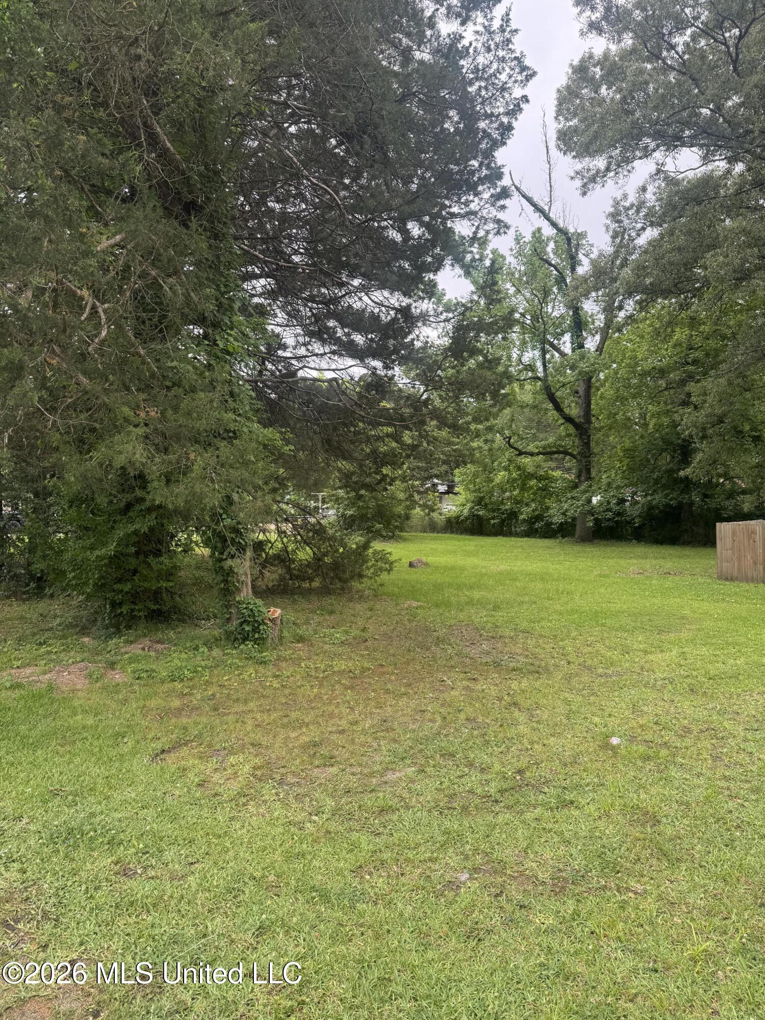 Gault Street Property Photo 1