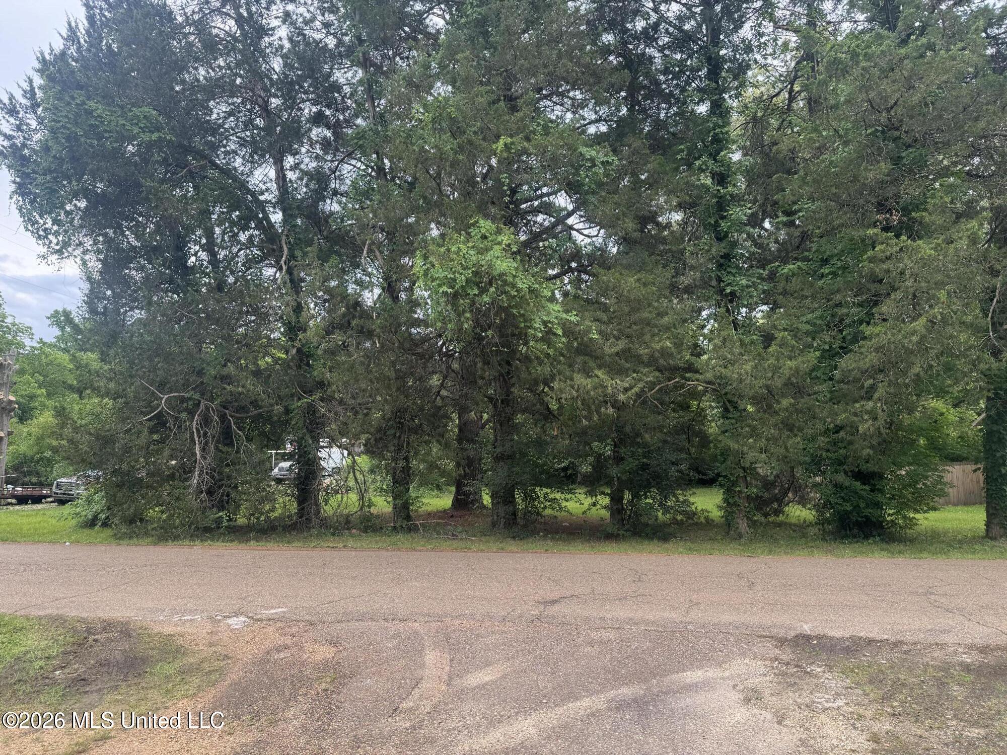 Gault Street Property Photo 2