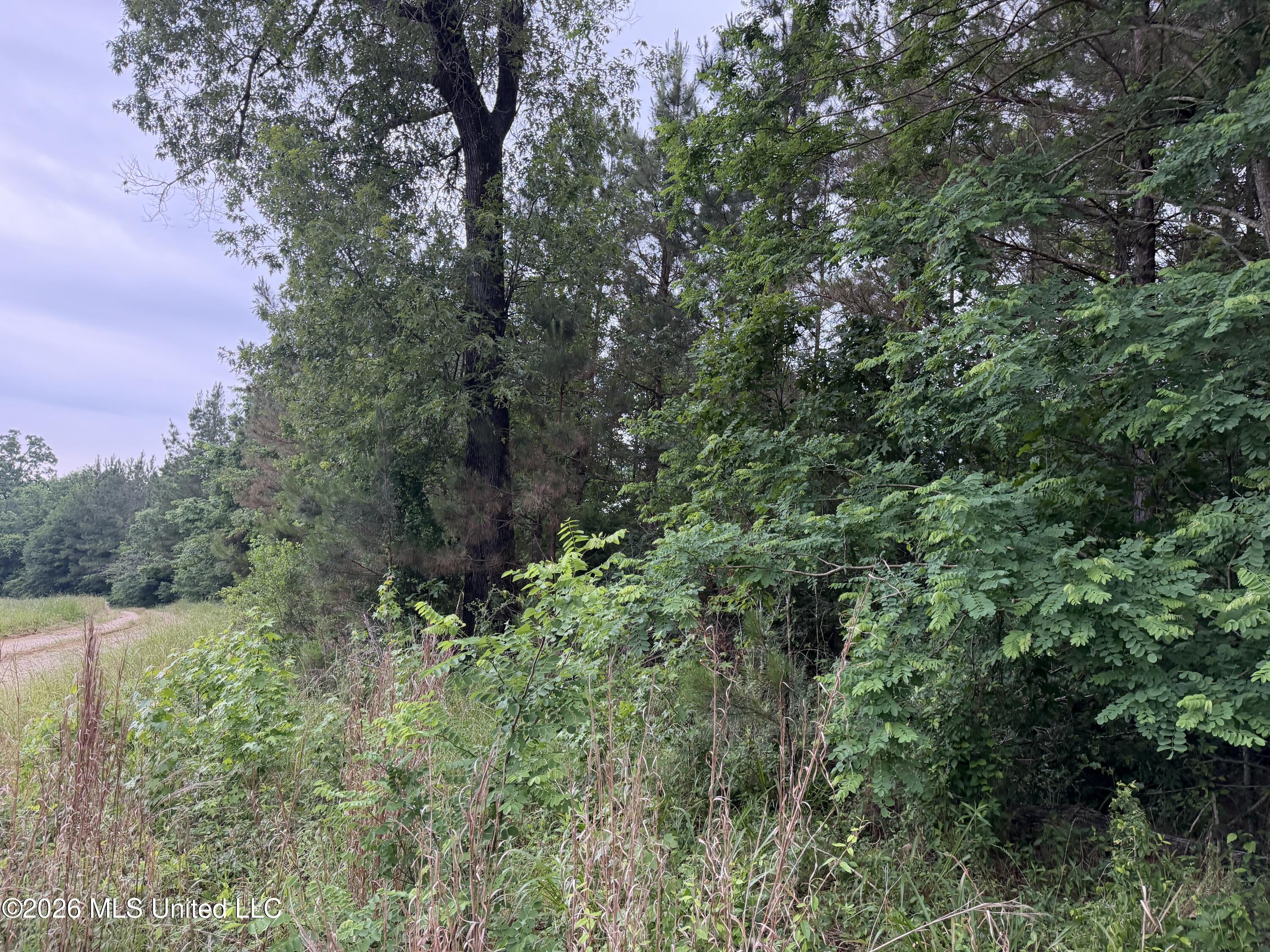 Tbd Hall Road Property Photo 3