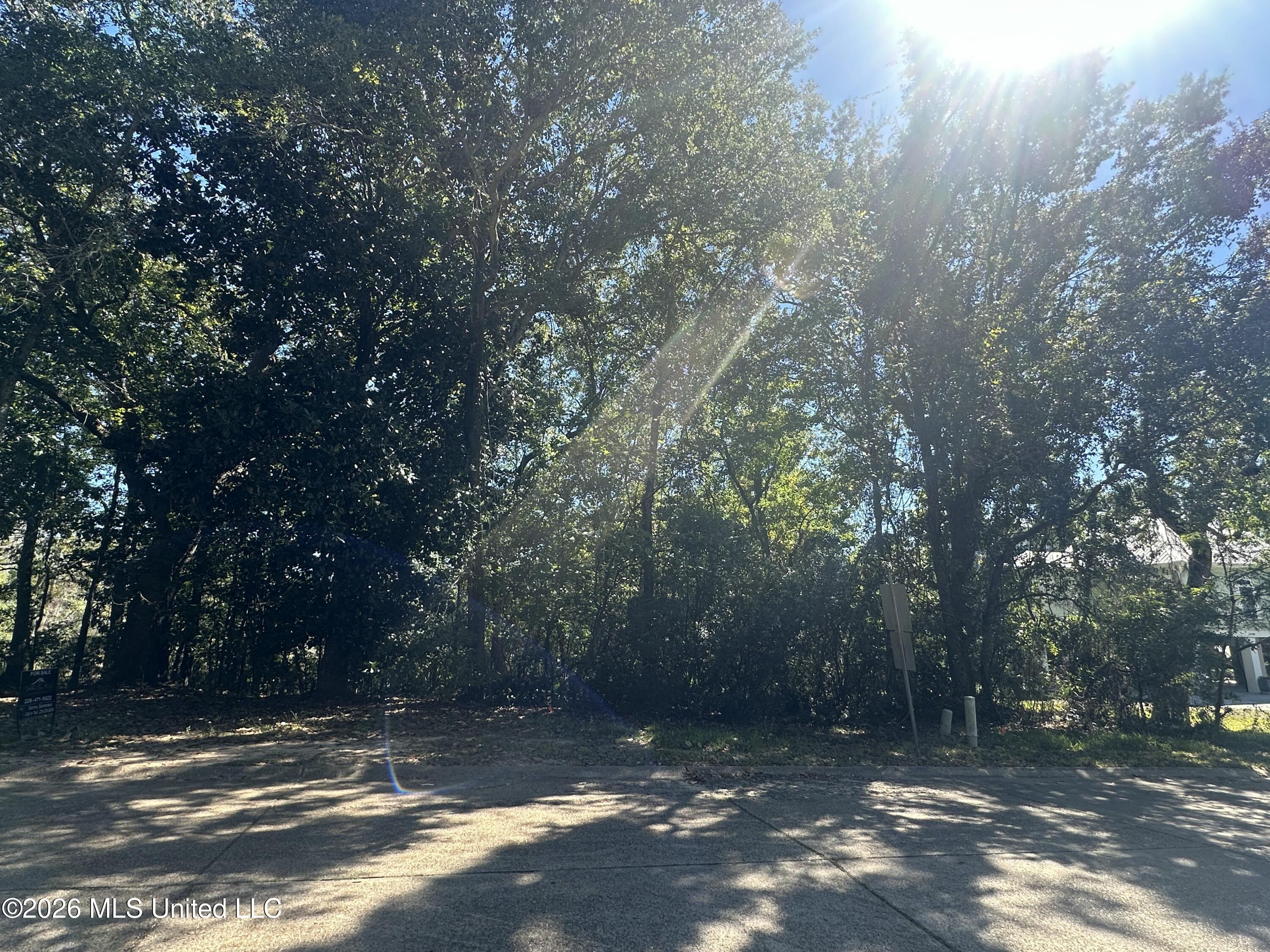 Baywood Drive Property Photo 3