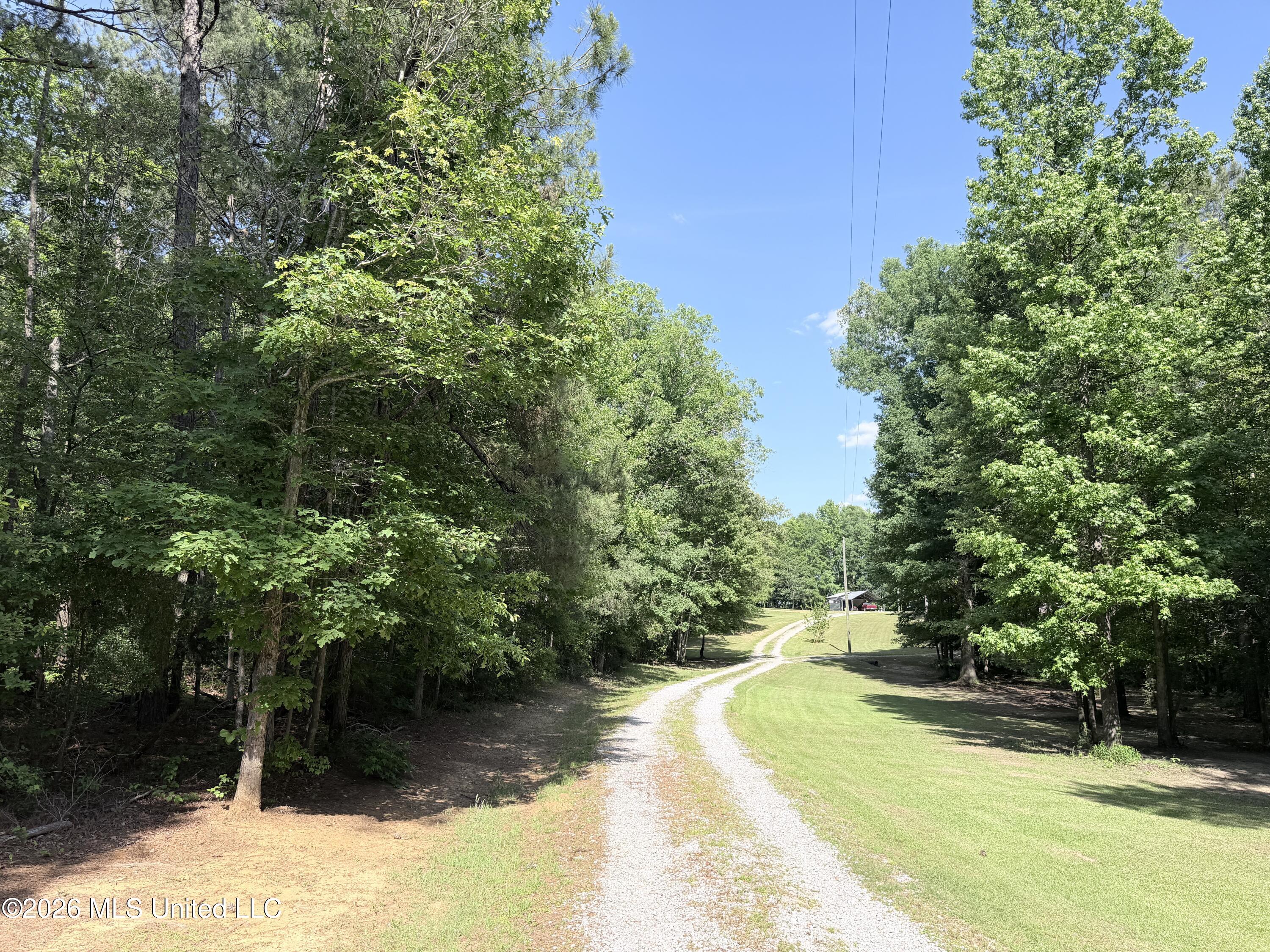 394 Risher Road Property Photo 4