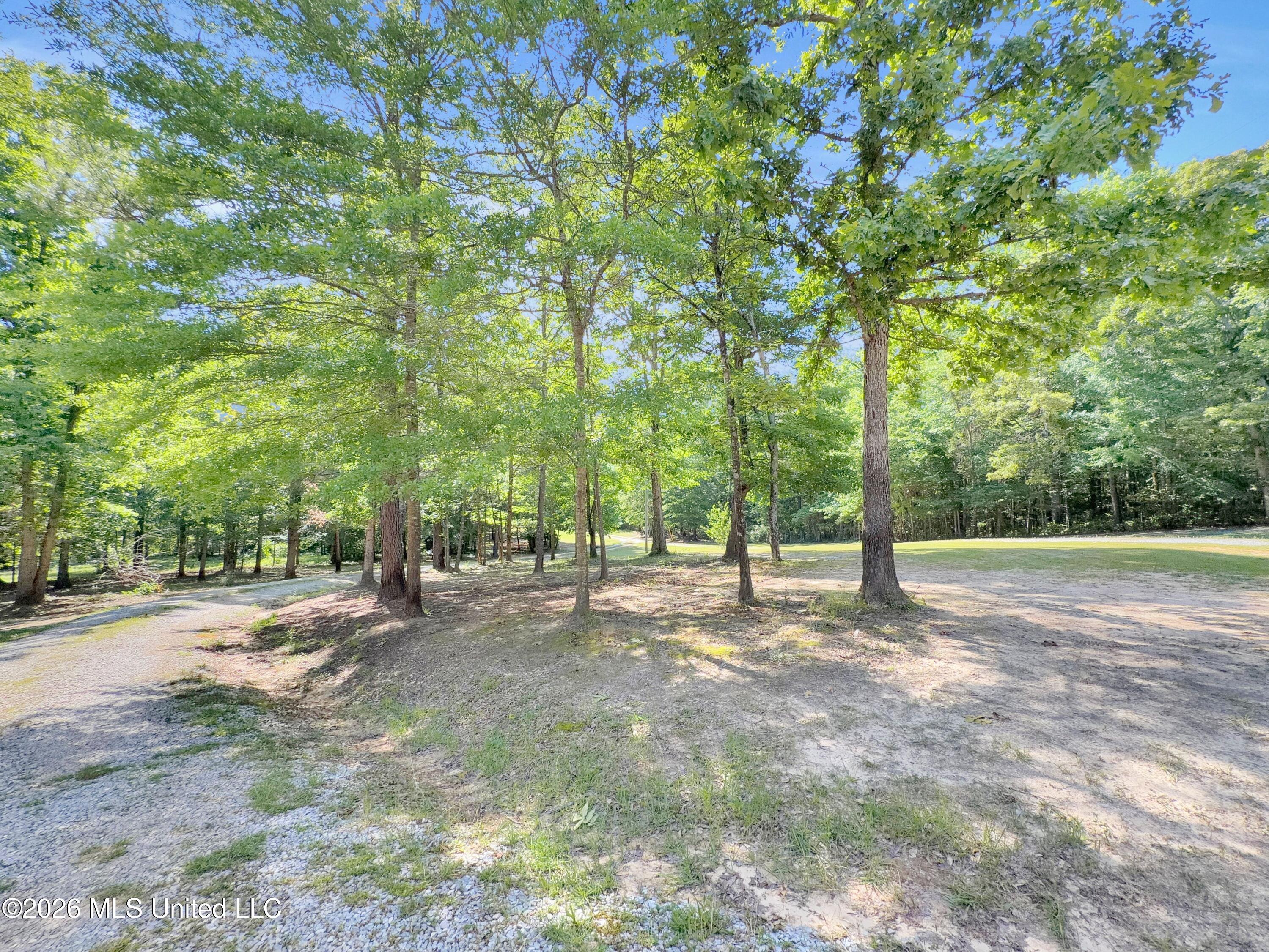 394 Risher Road Property Photo 9