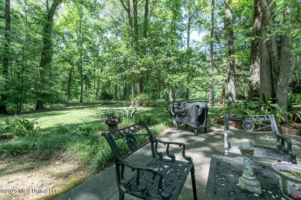 14 Marshall Road Property Photo 60