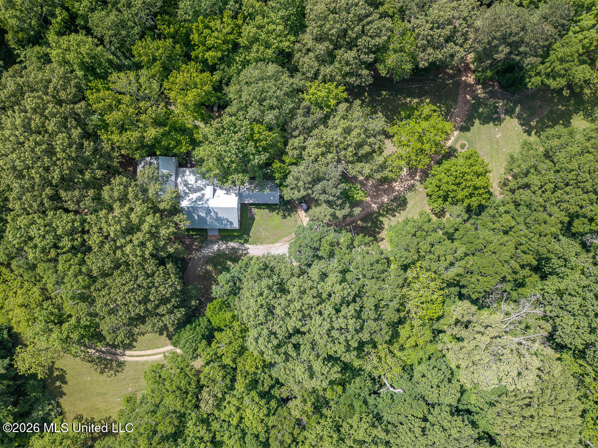14 Marshall Road Property Photo 67
