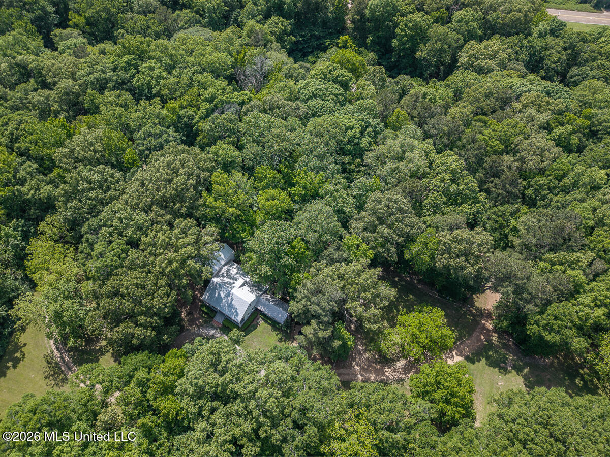 14 Marshall Road Property Photo 68
