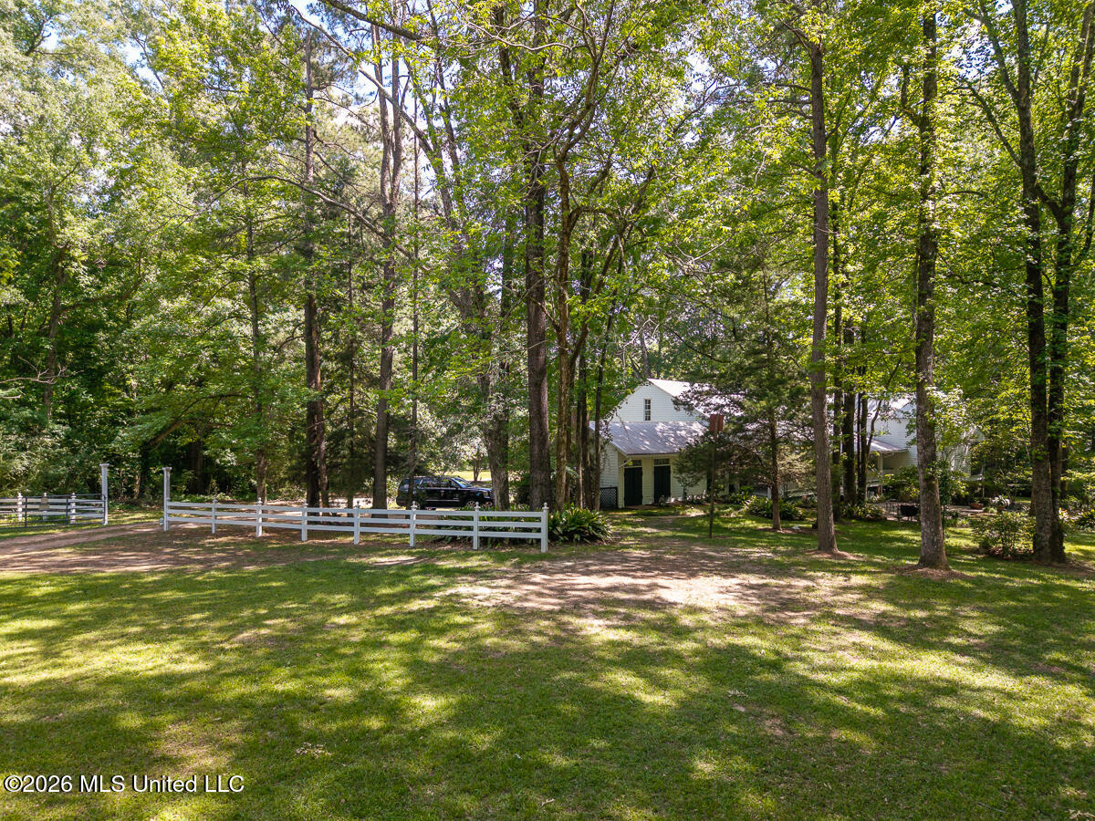 14 Marshall Road Property Photo 69
