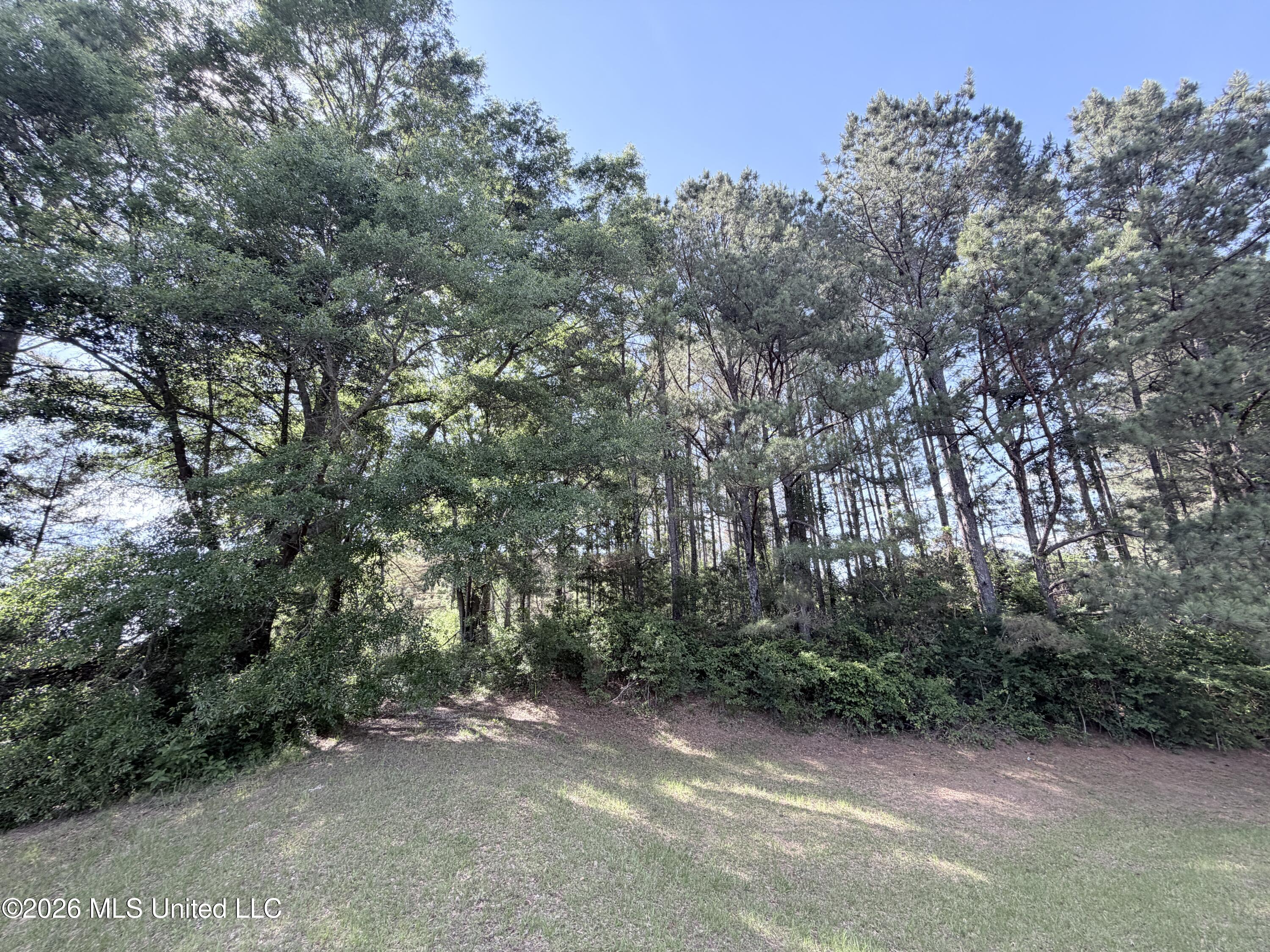 385 Risher Road Property Photo 1