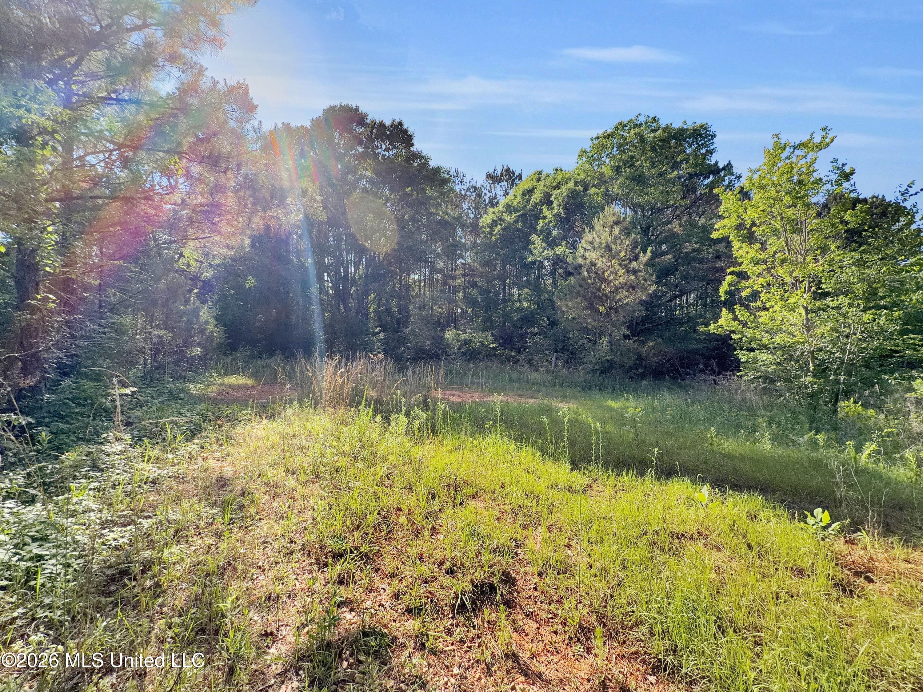 385 Risher Road Property Photo 2