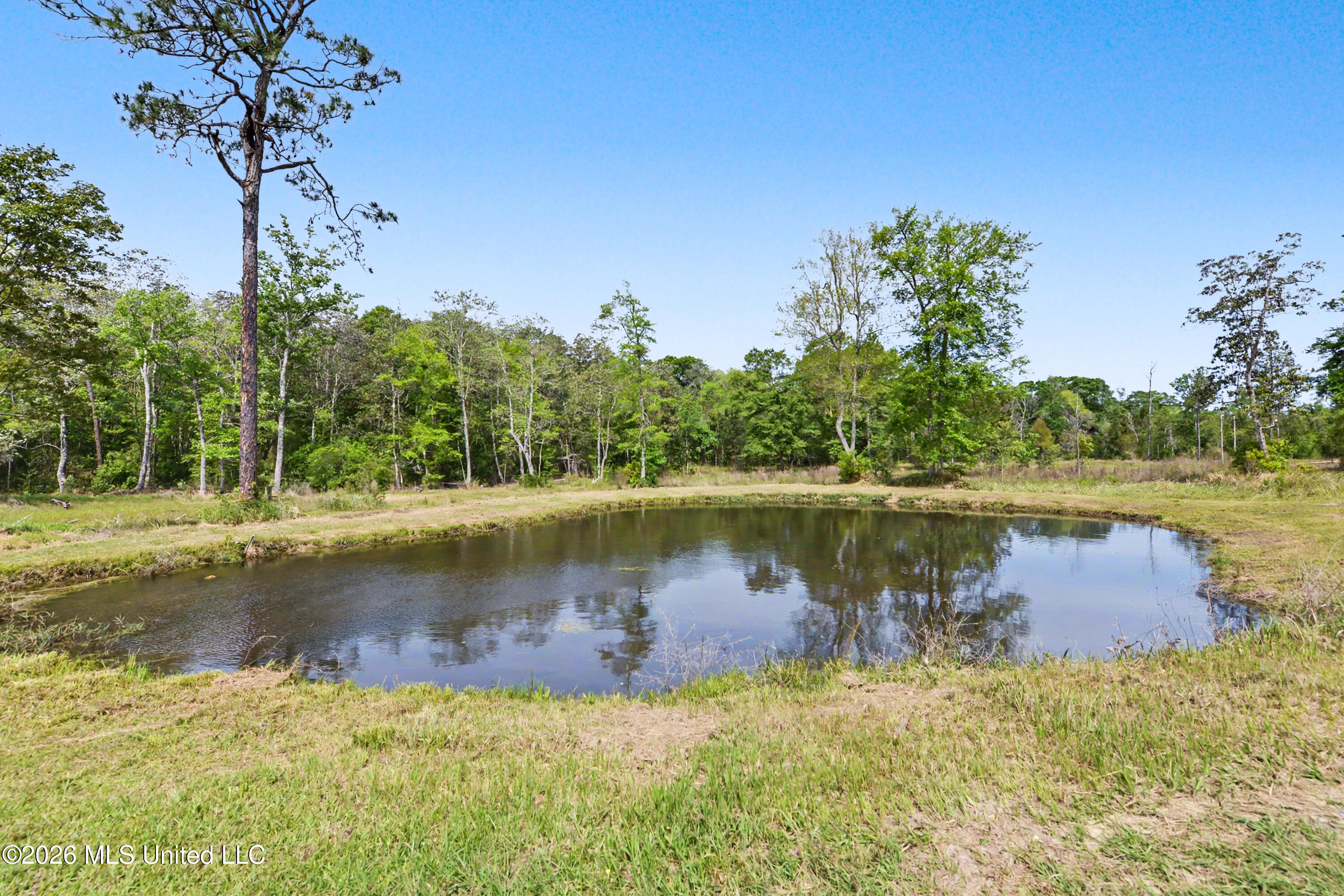 161 Air Ranch Road Property Photo 23