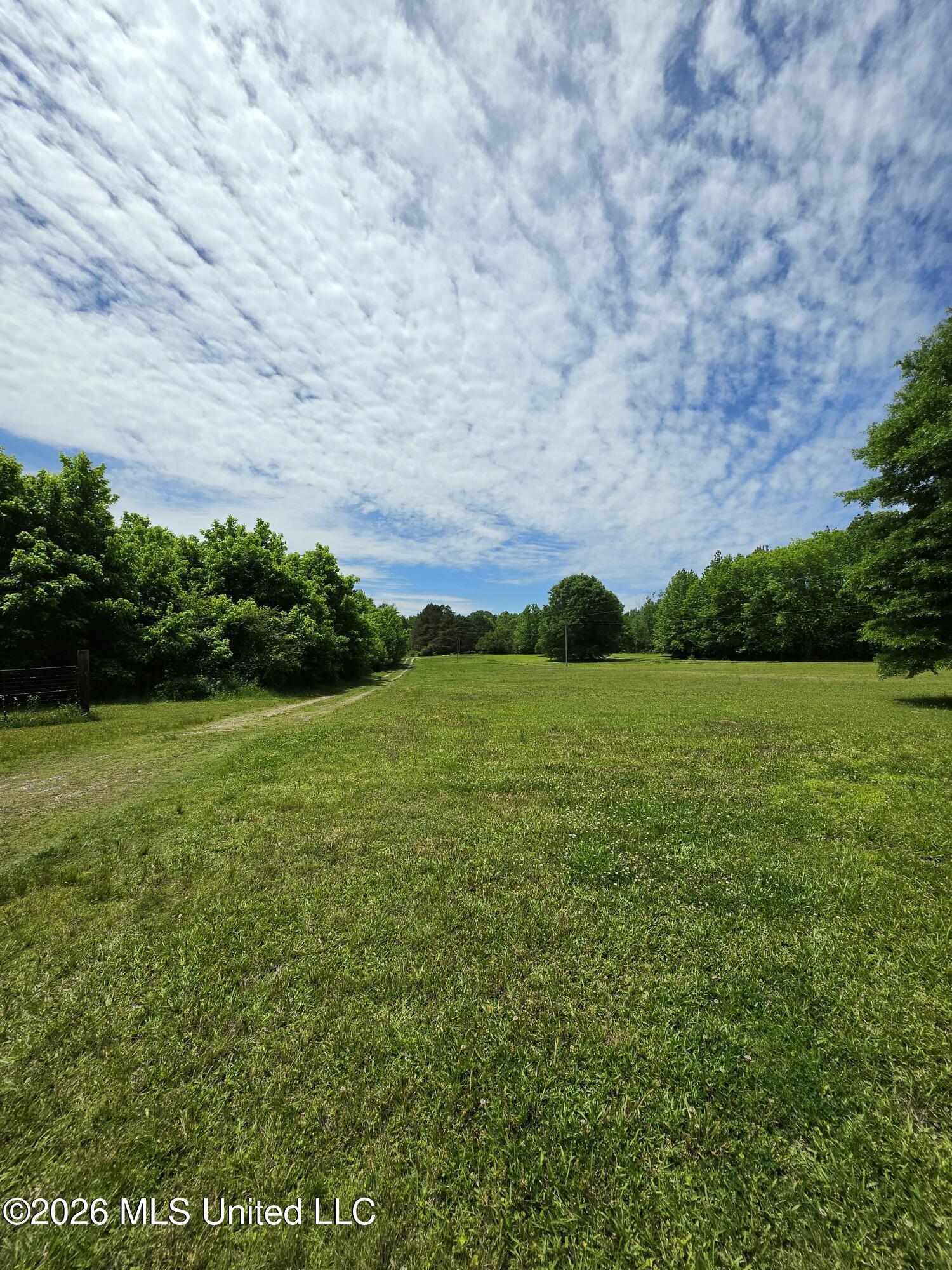 556 Jamie Drive Property Photo 2