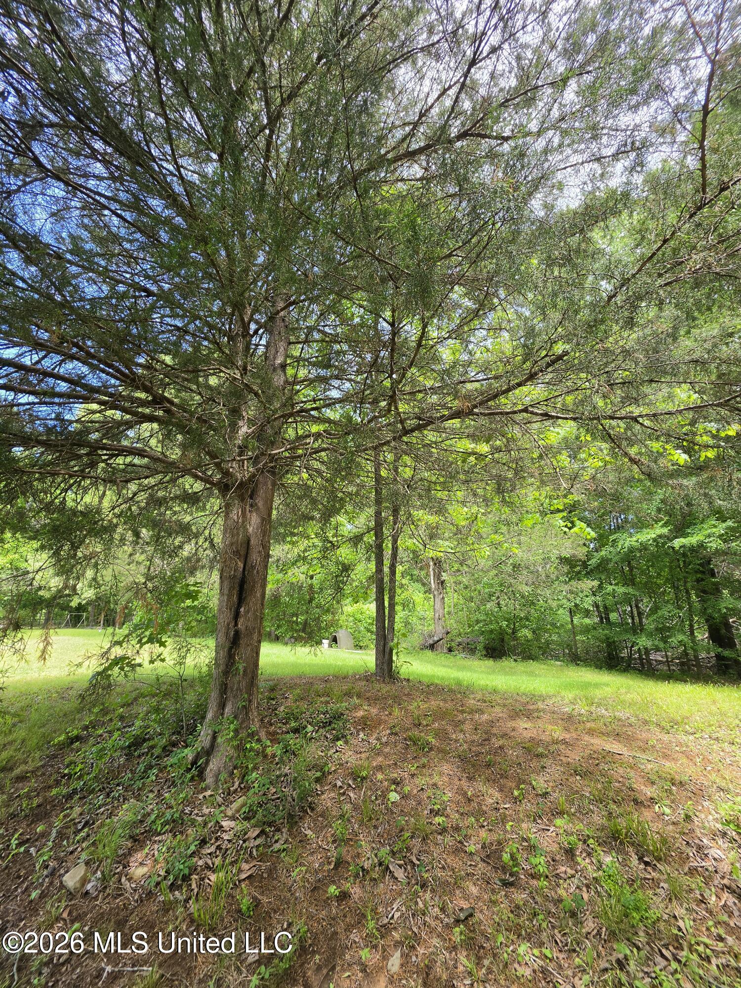 556 Jamie Drive Property Photo 5