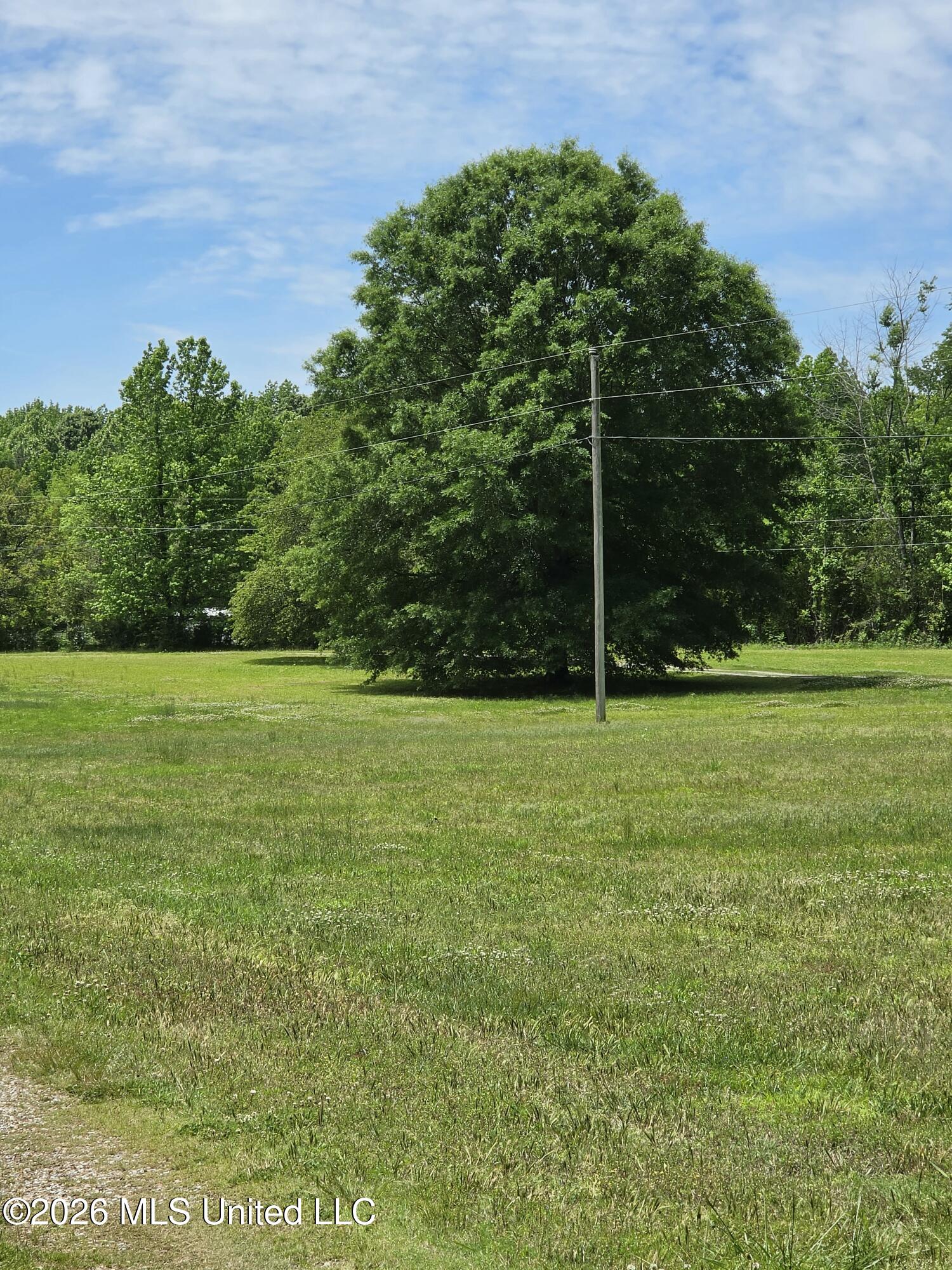 556 Jamie Drive Property Photo 9