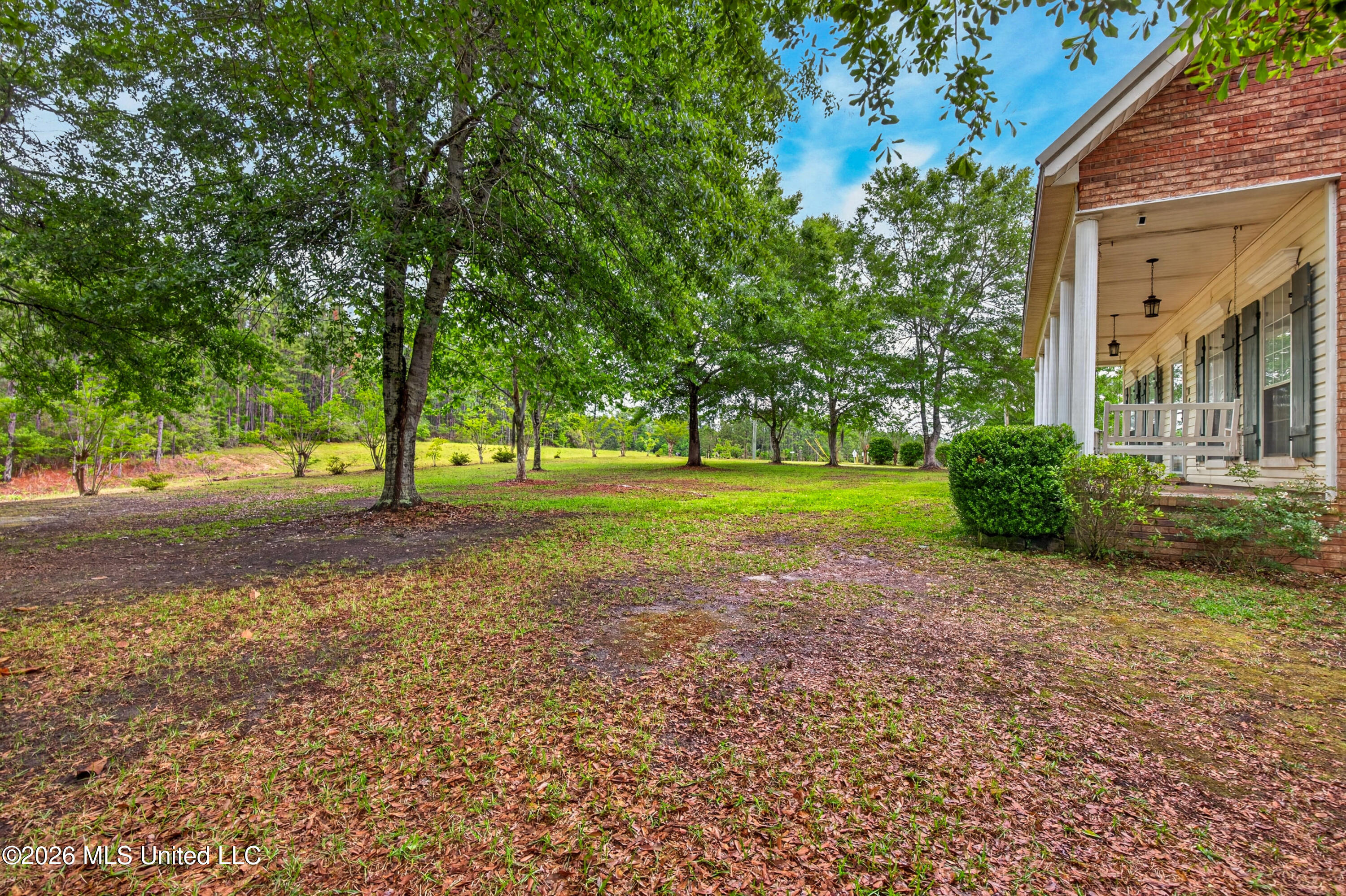 11493 White Star Road Property Photo 44