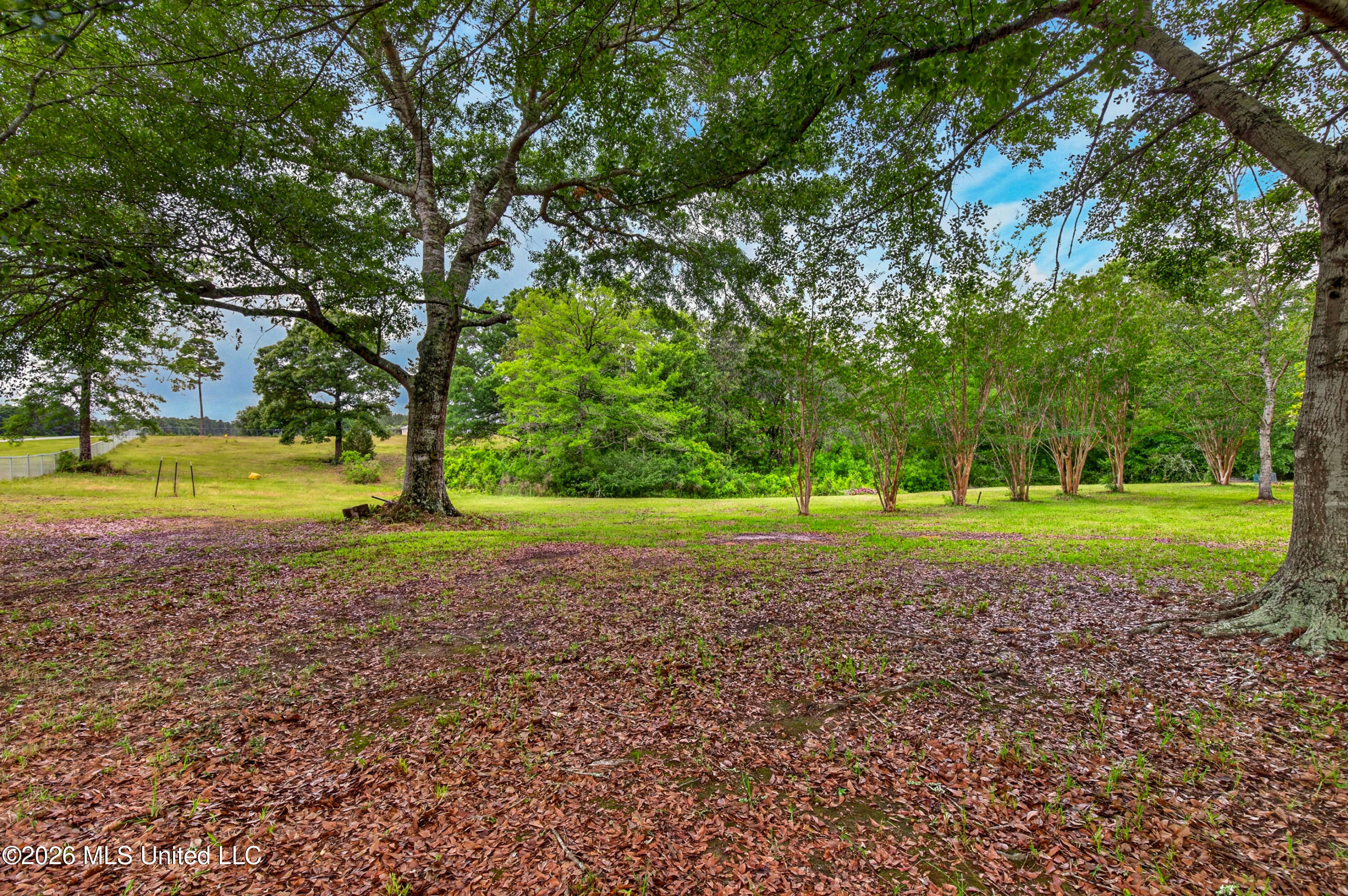 11493 White Star Road Property Photo 47