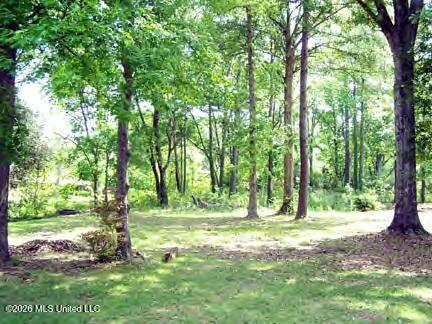 415 Wilson Drive Property Photo 11