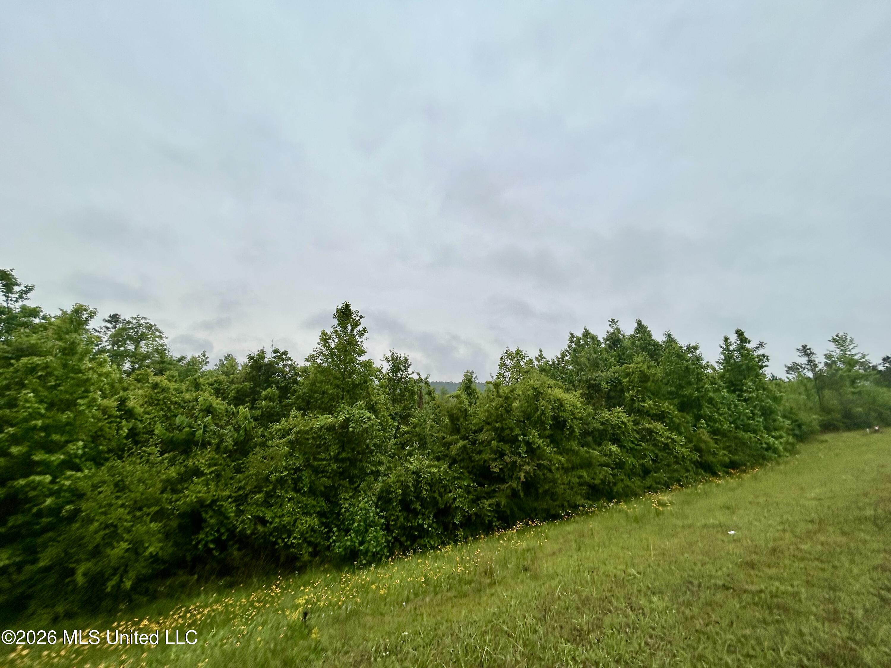 Ferguson Mill Road Property Photo 1