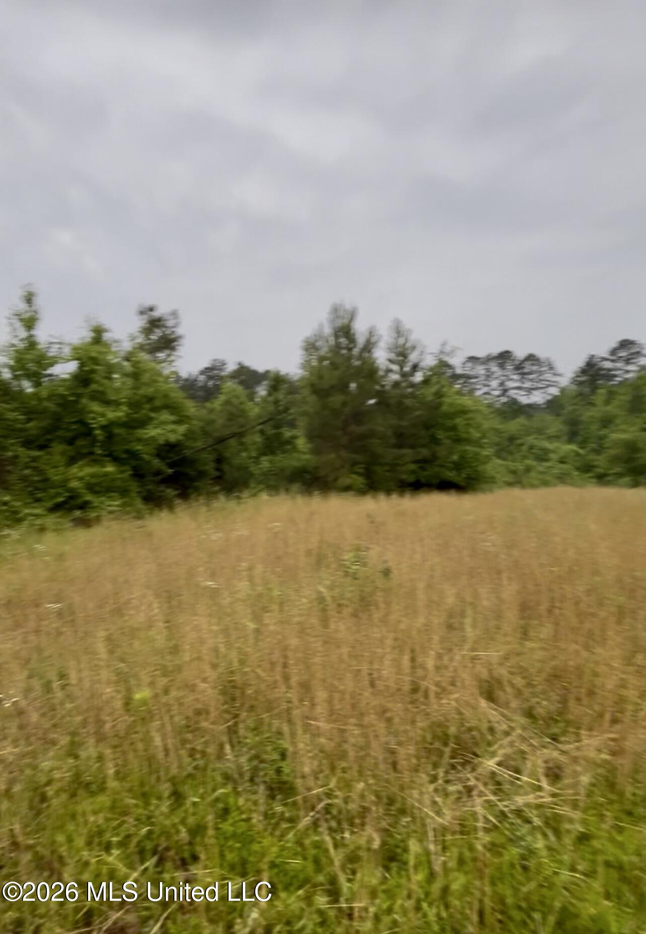 Ferguson Mill Road Property Photo 3