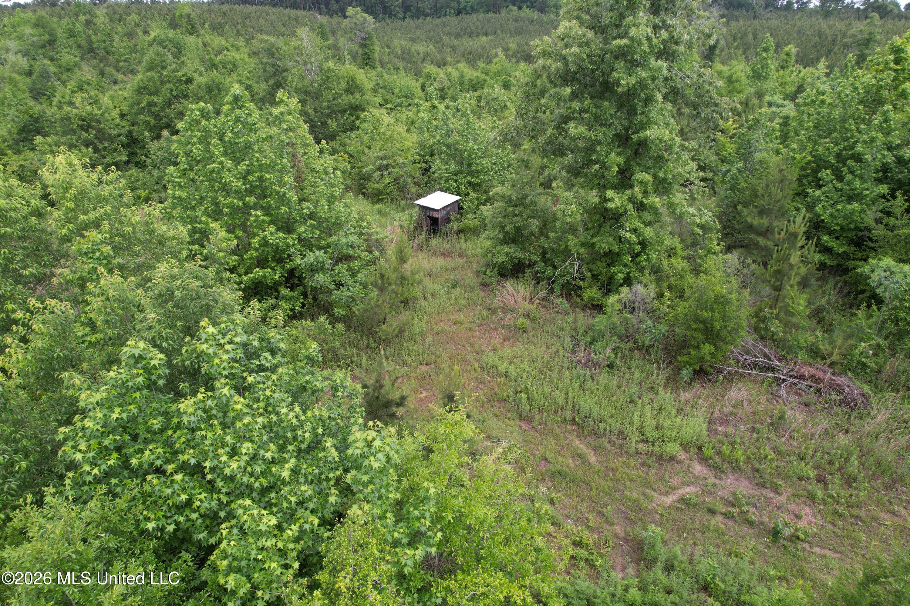 Ferguson Mill Road Property Photo 9