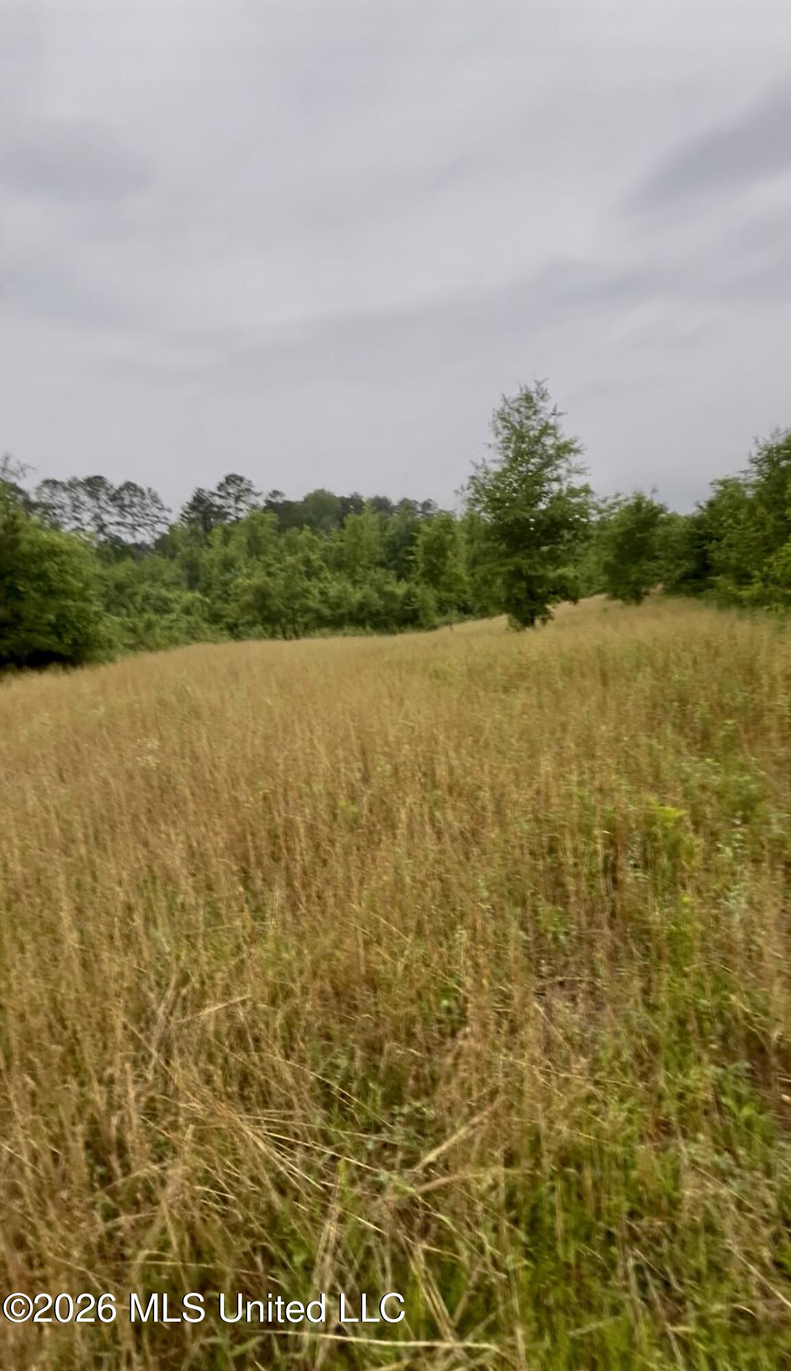 Ferguson Mill Road Property Photo 10