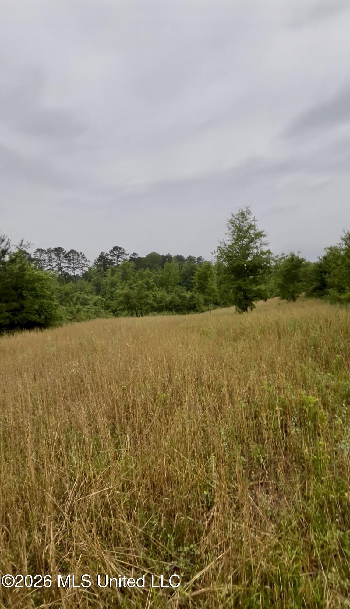 Ferguson Mill Road Property Photo 11