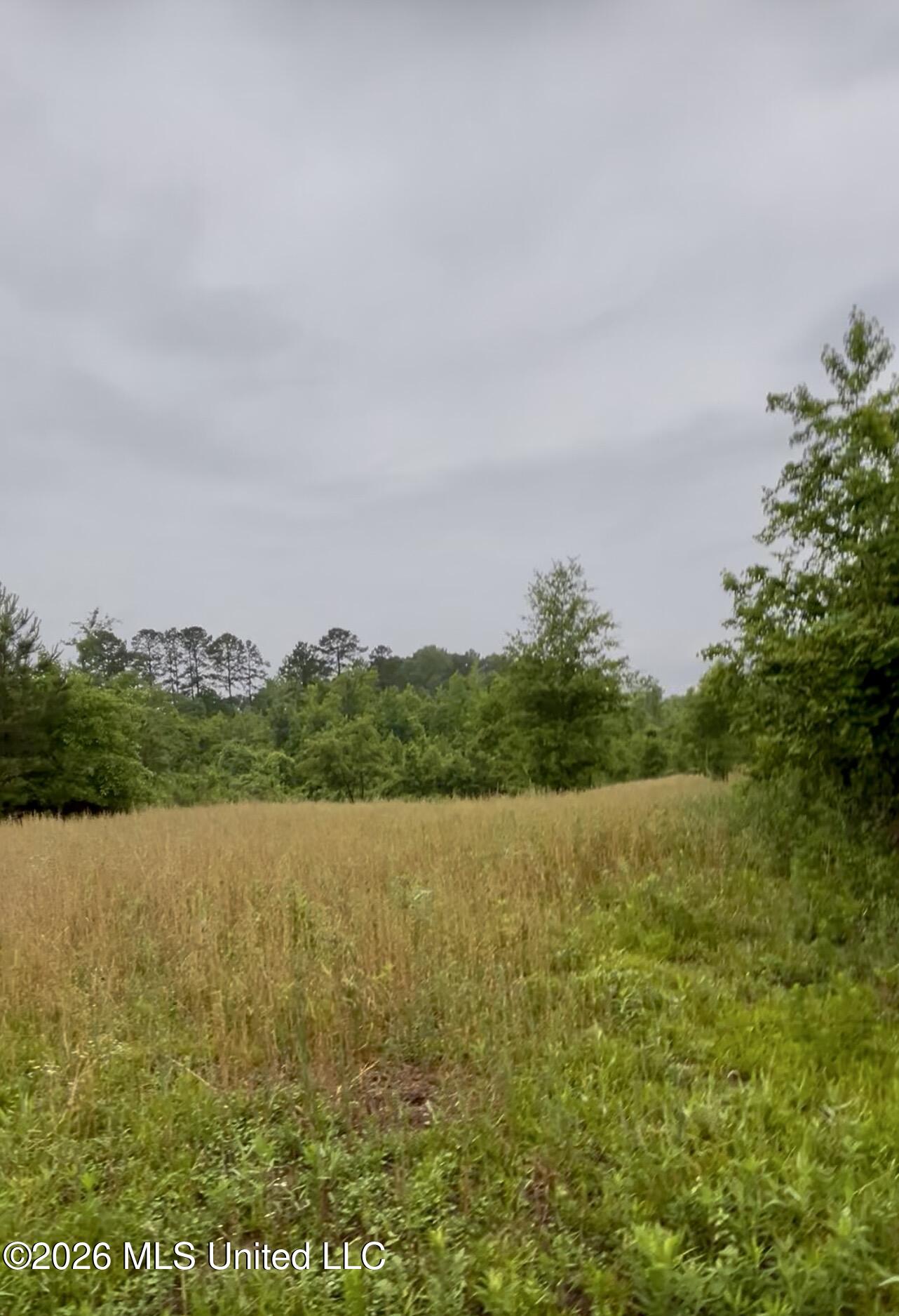 Ferguson Mill Road Property Photo 12