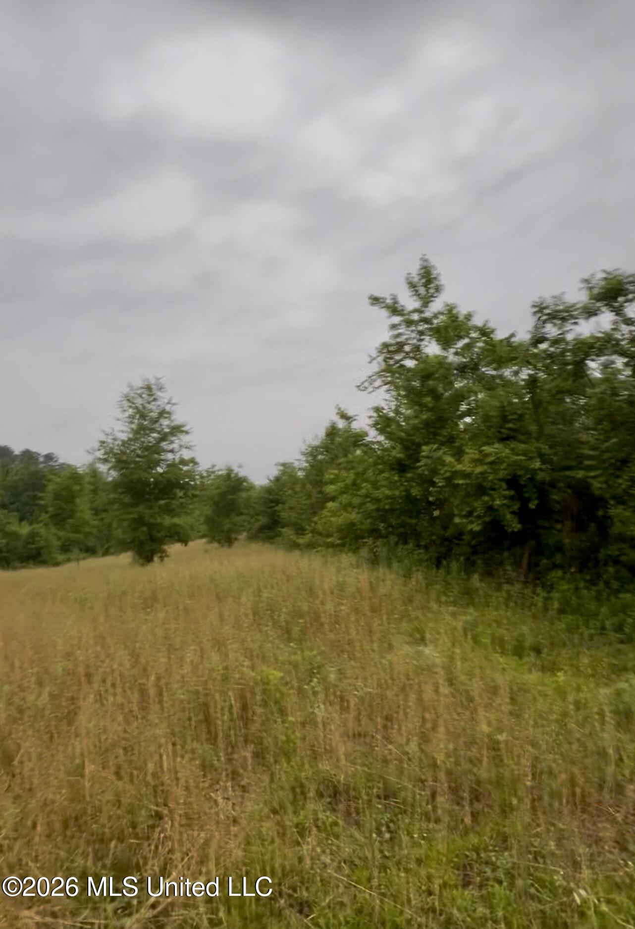 Ferguson Mill Road Property Photo 13