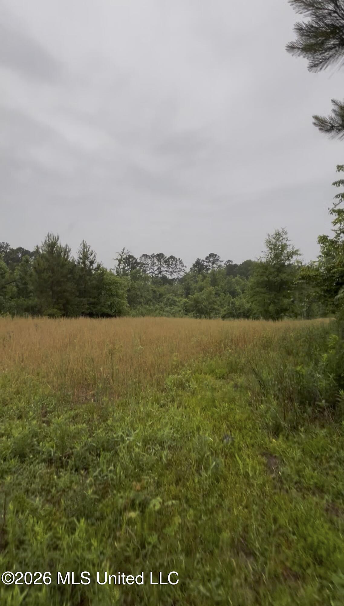 Ferguson Mill Road Property Photo 14