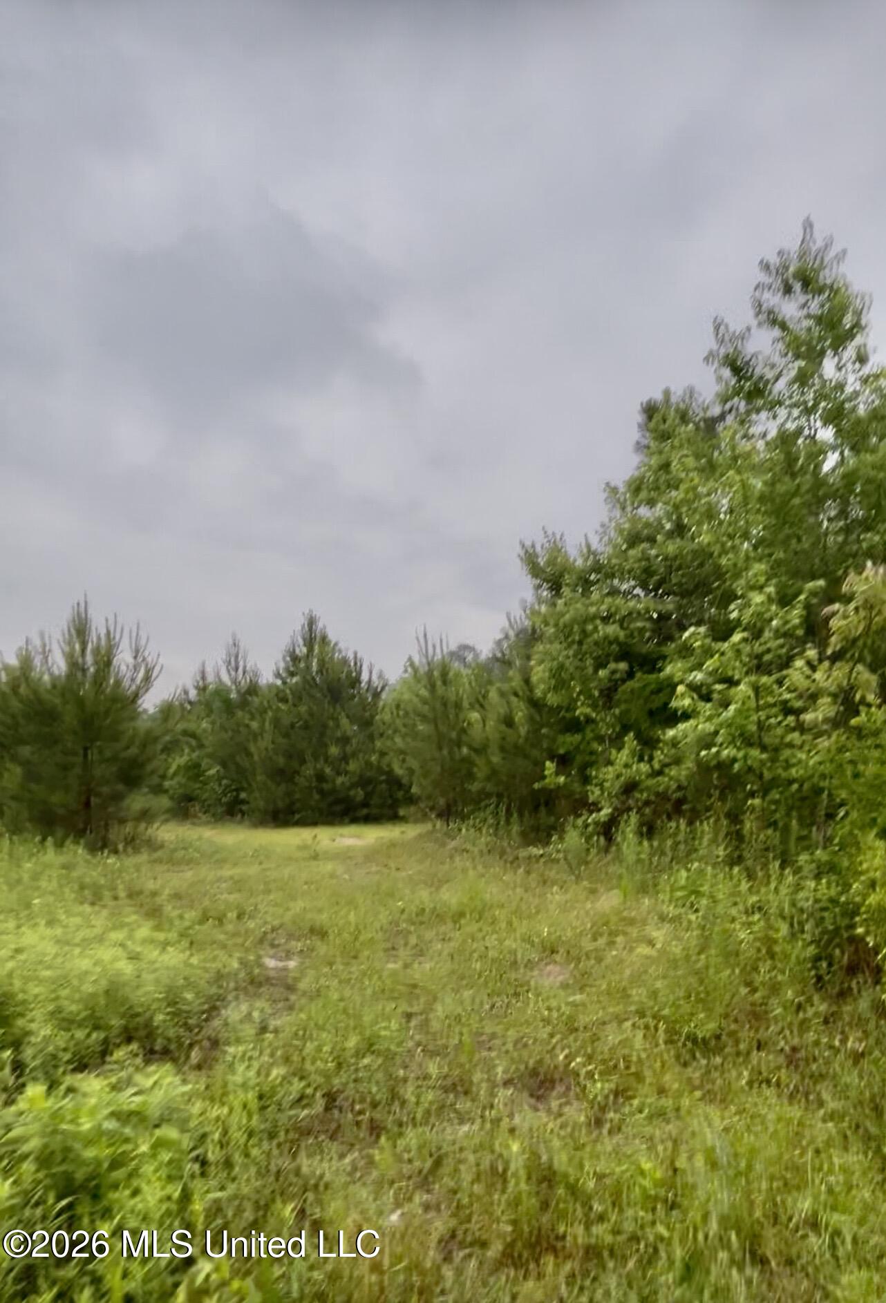 Ferguson Mill Road Property Photo 15