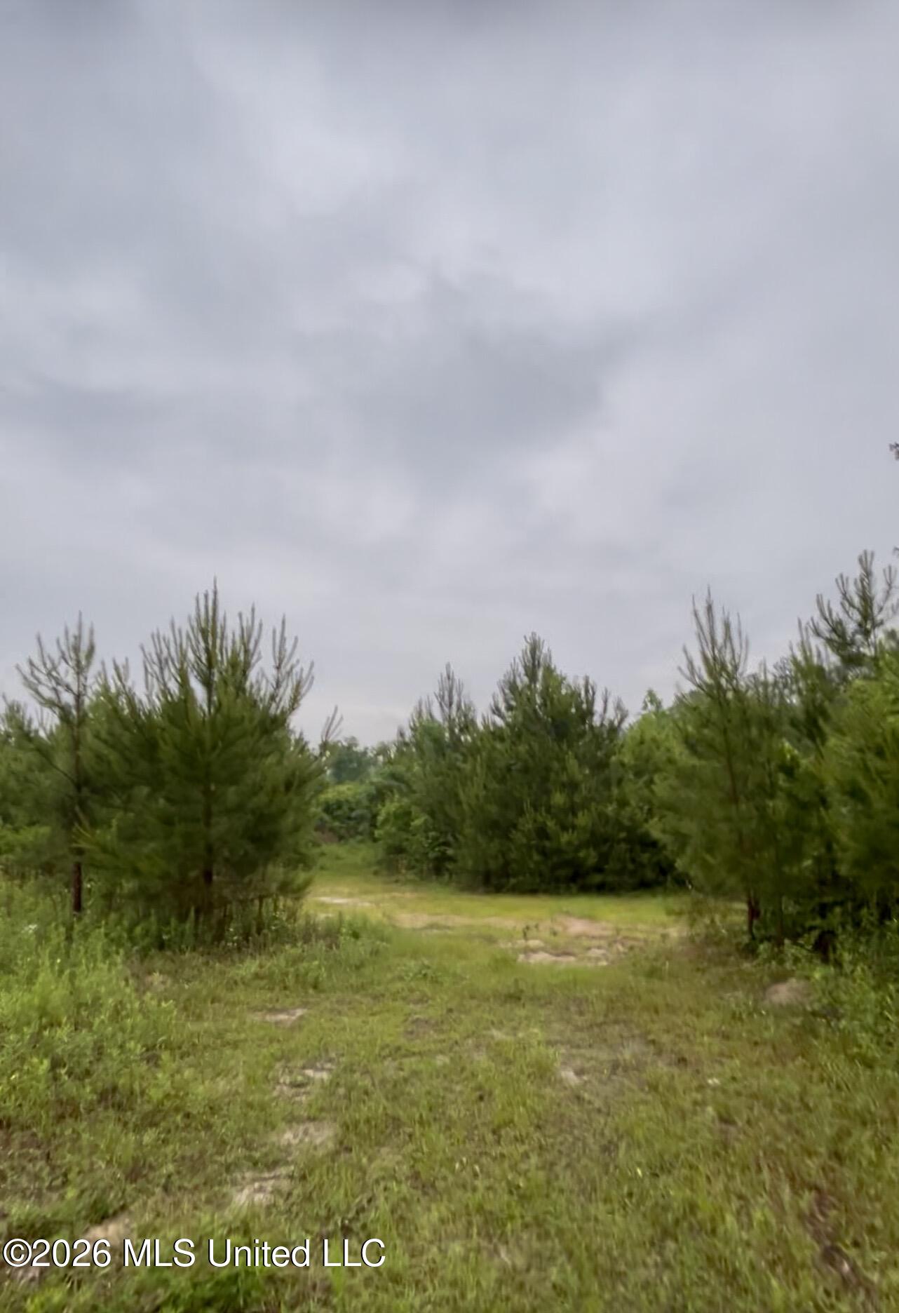 Ferguson Mill Road Property Photo 16