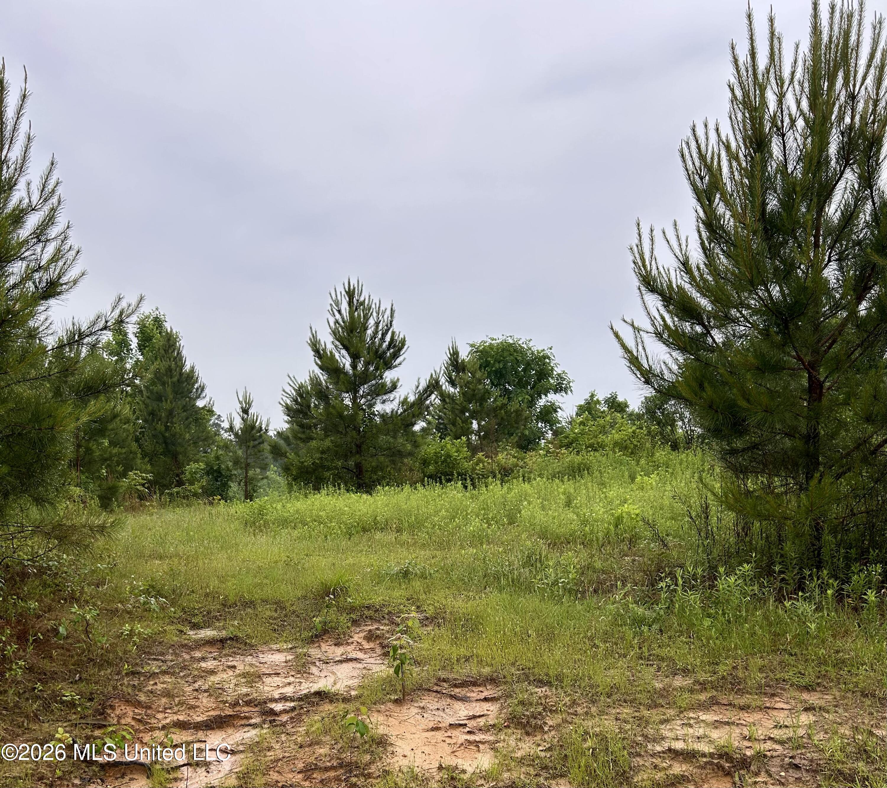 Ferguson Mill Road Property Photo 20