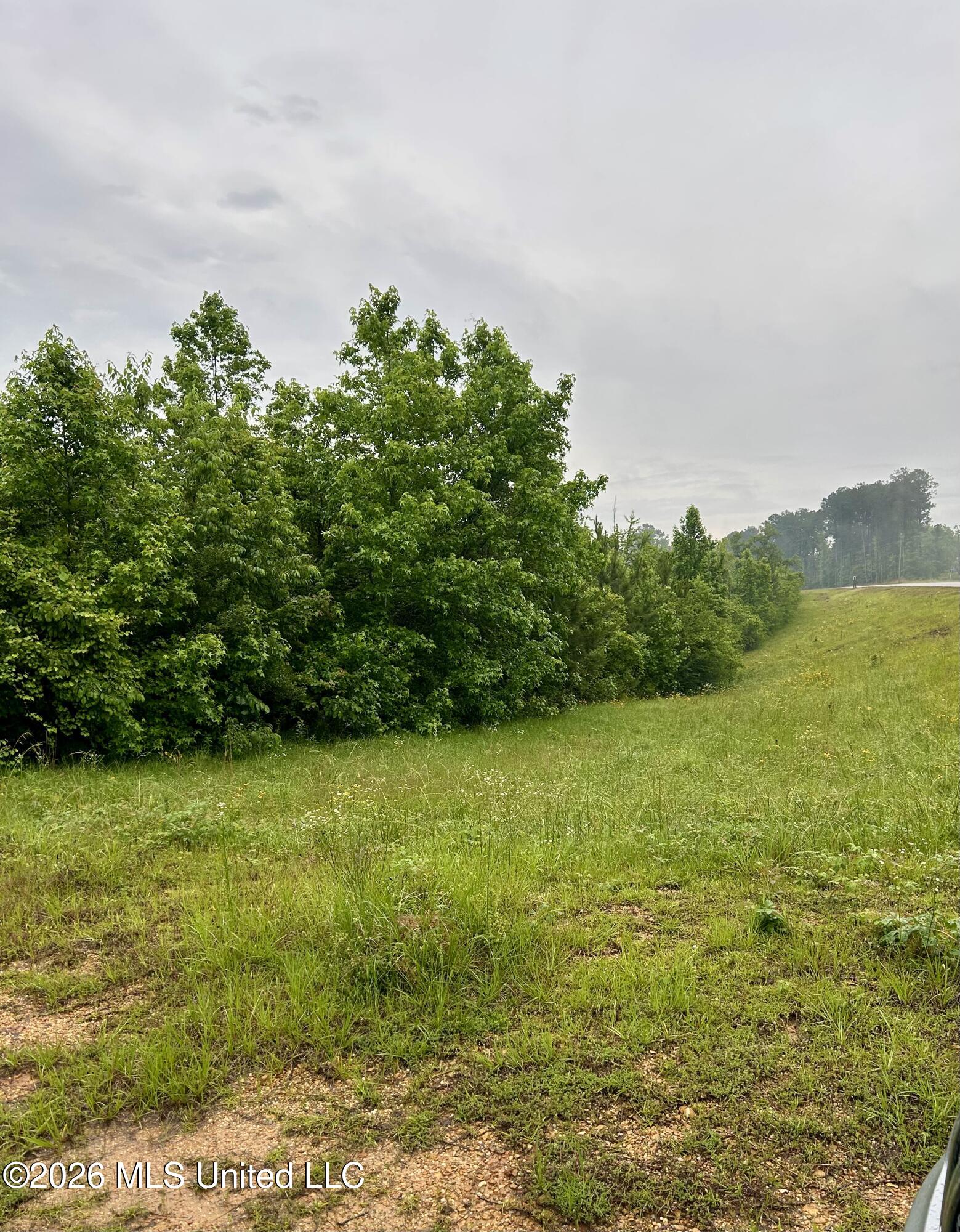 Ferguson Mill Road Property Photo 21